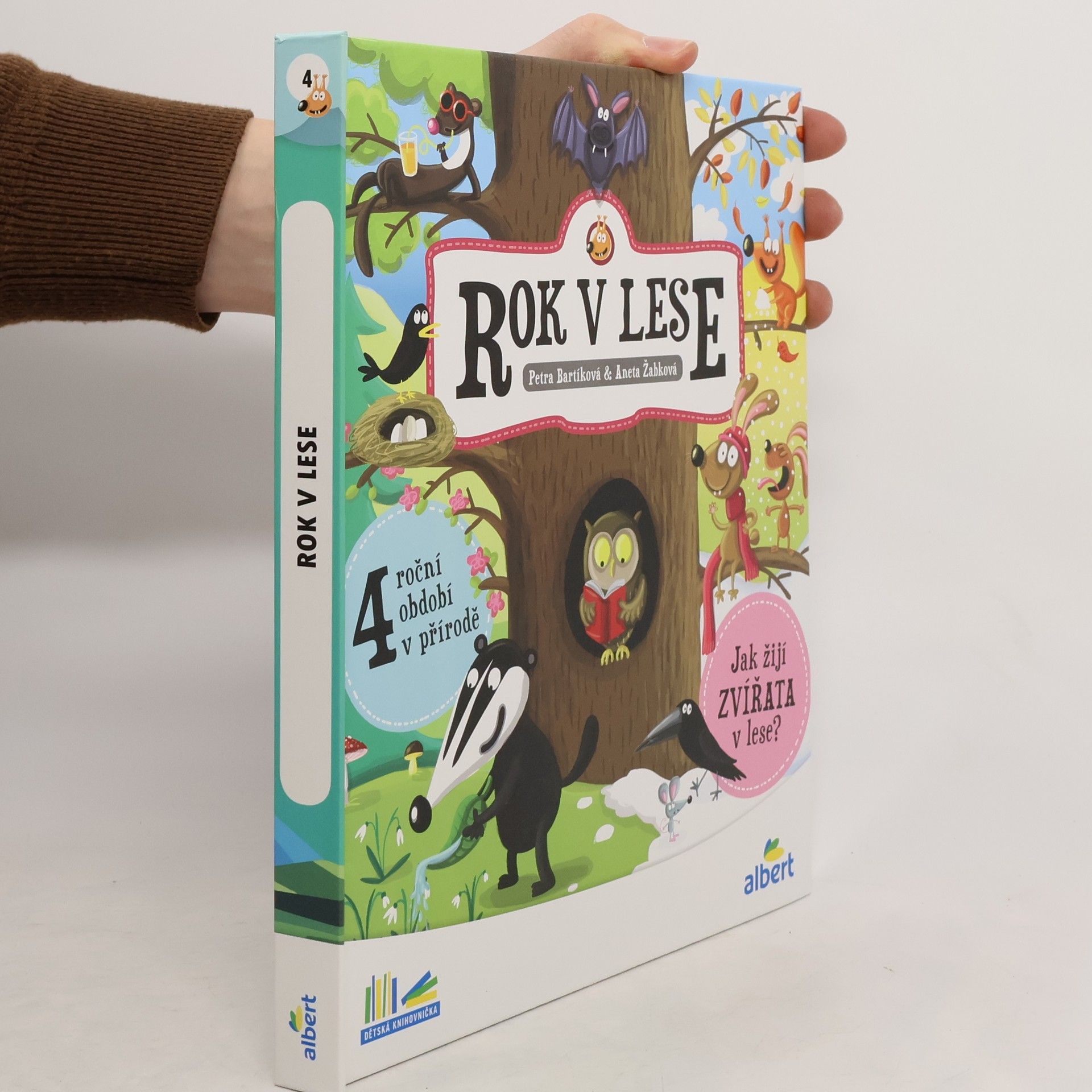 Kolektiv autorů Rok v lese