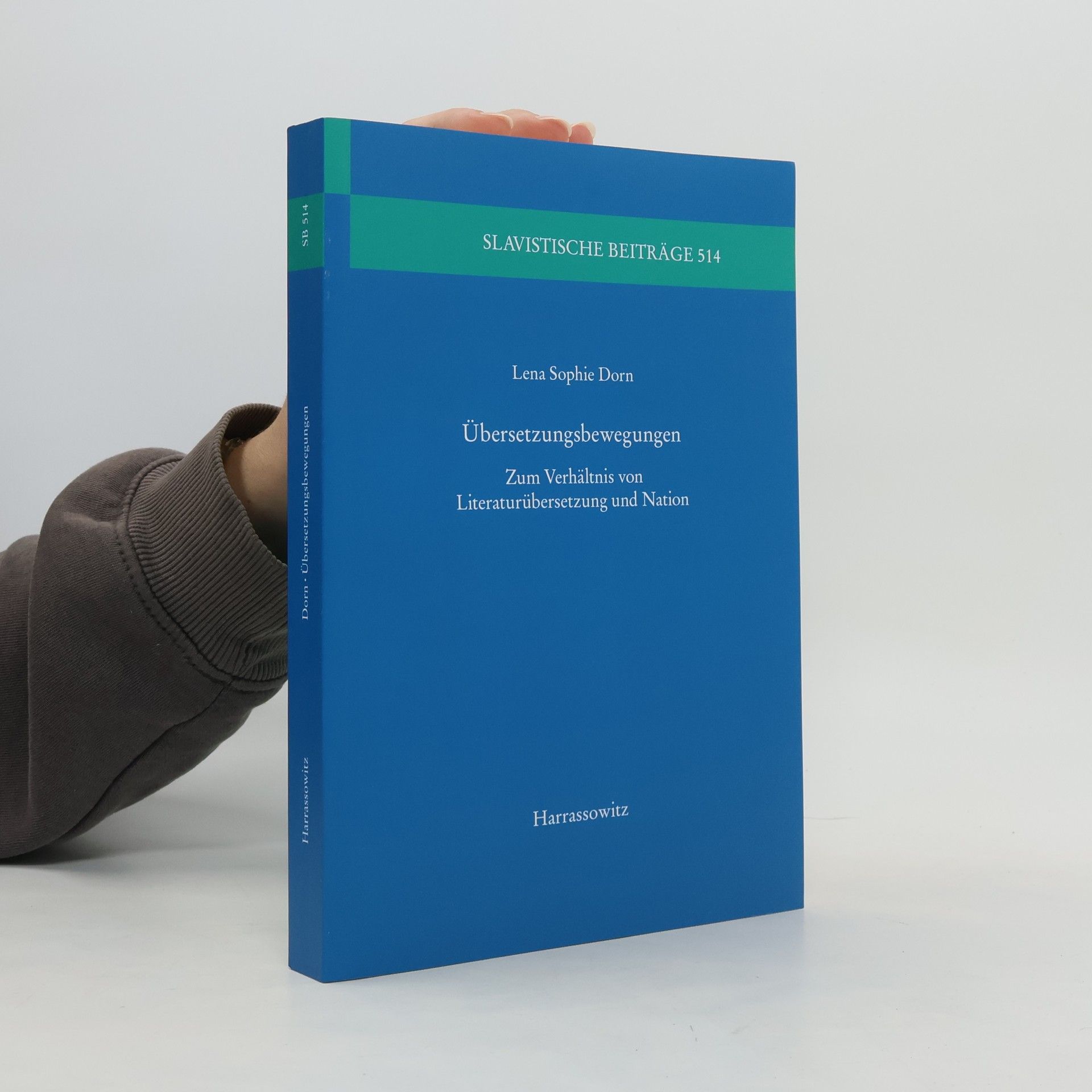 Lena Sophie Dorn Übersetzungsbewegungen