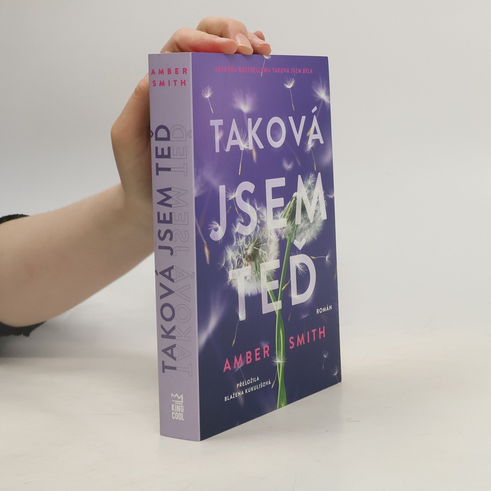 Amber Smith Taková jsem teď