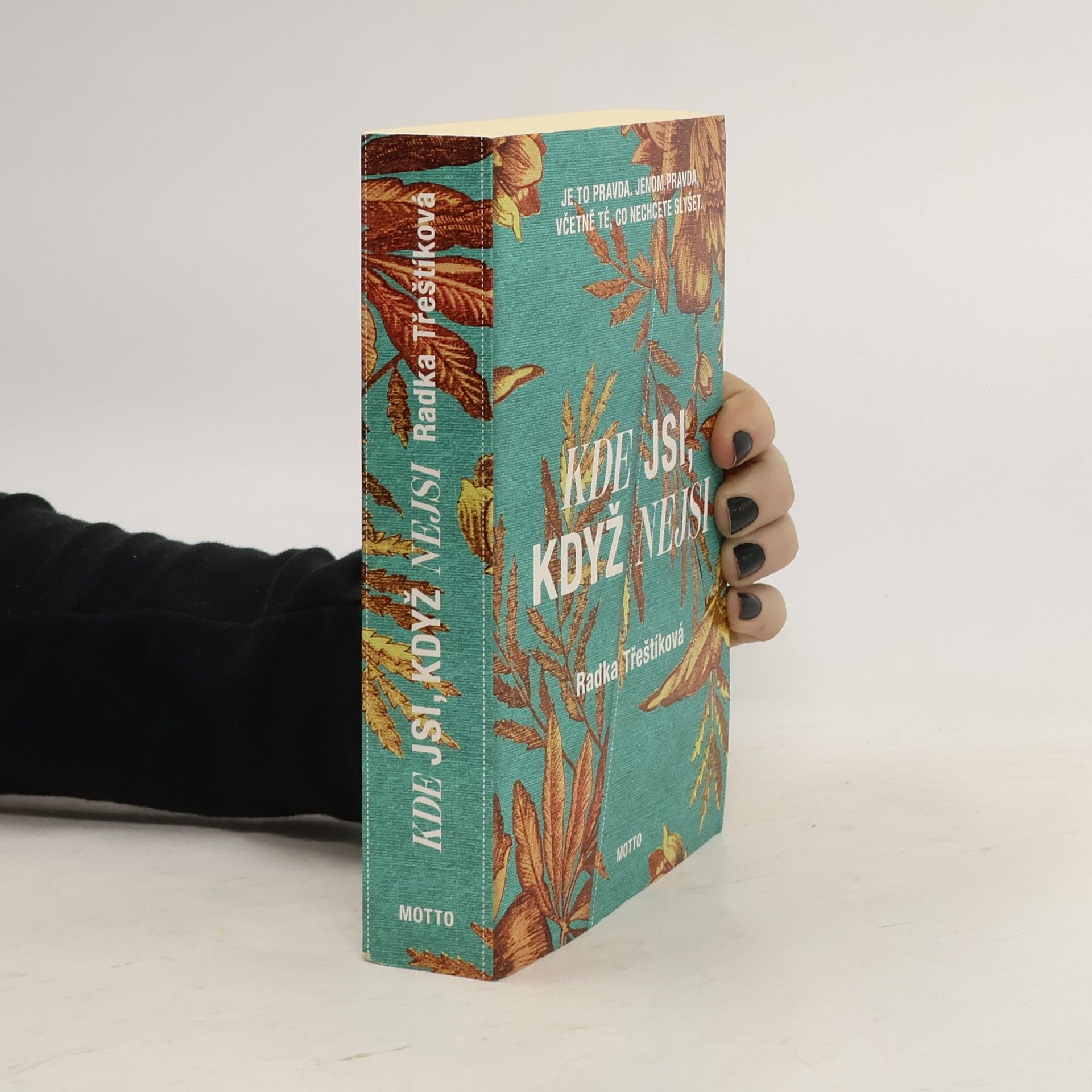 Radka Třeštíková Kde jsi, když nejsi