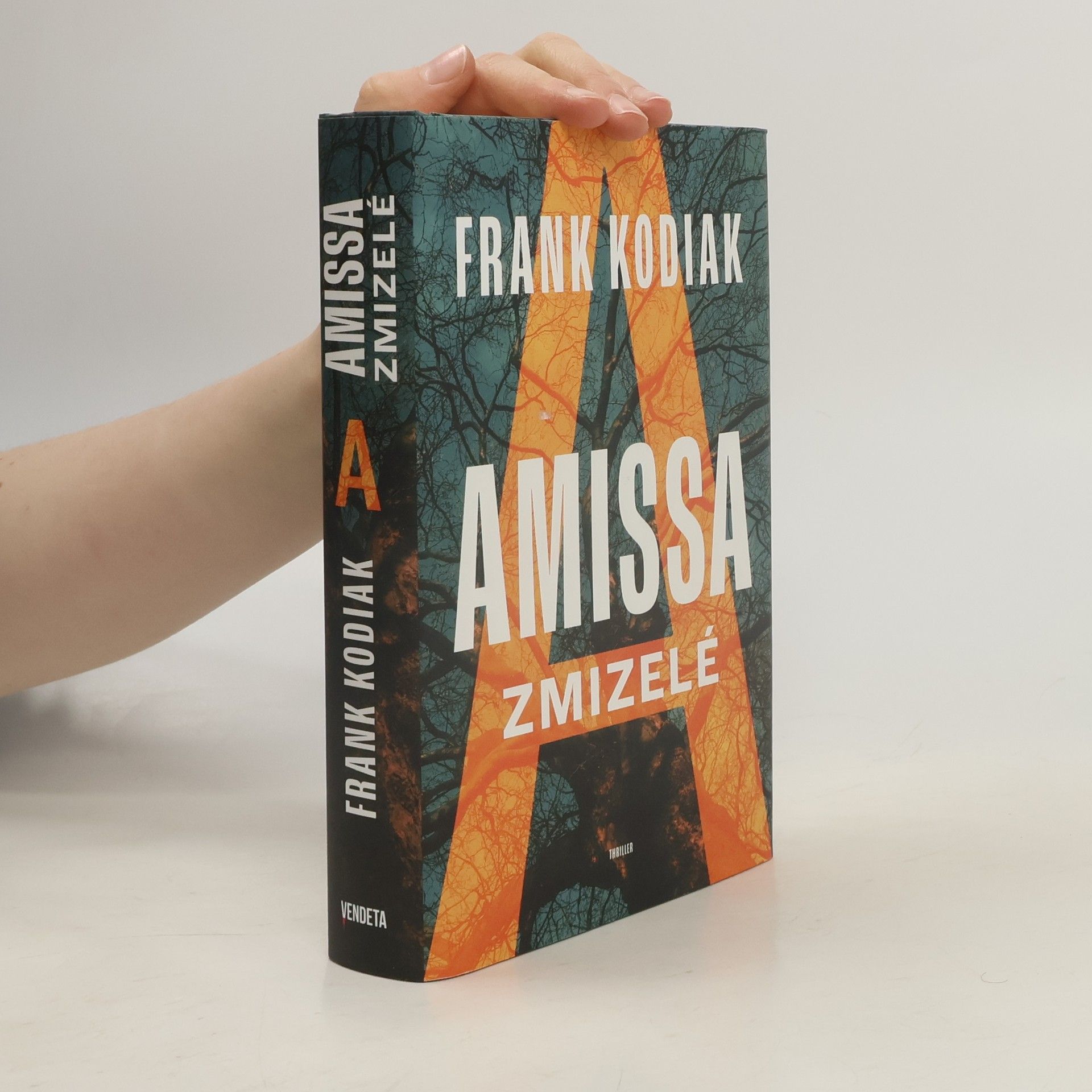 Hendrik Winter Amissa. Zmizelé