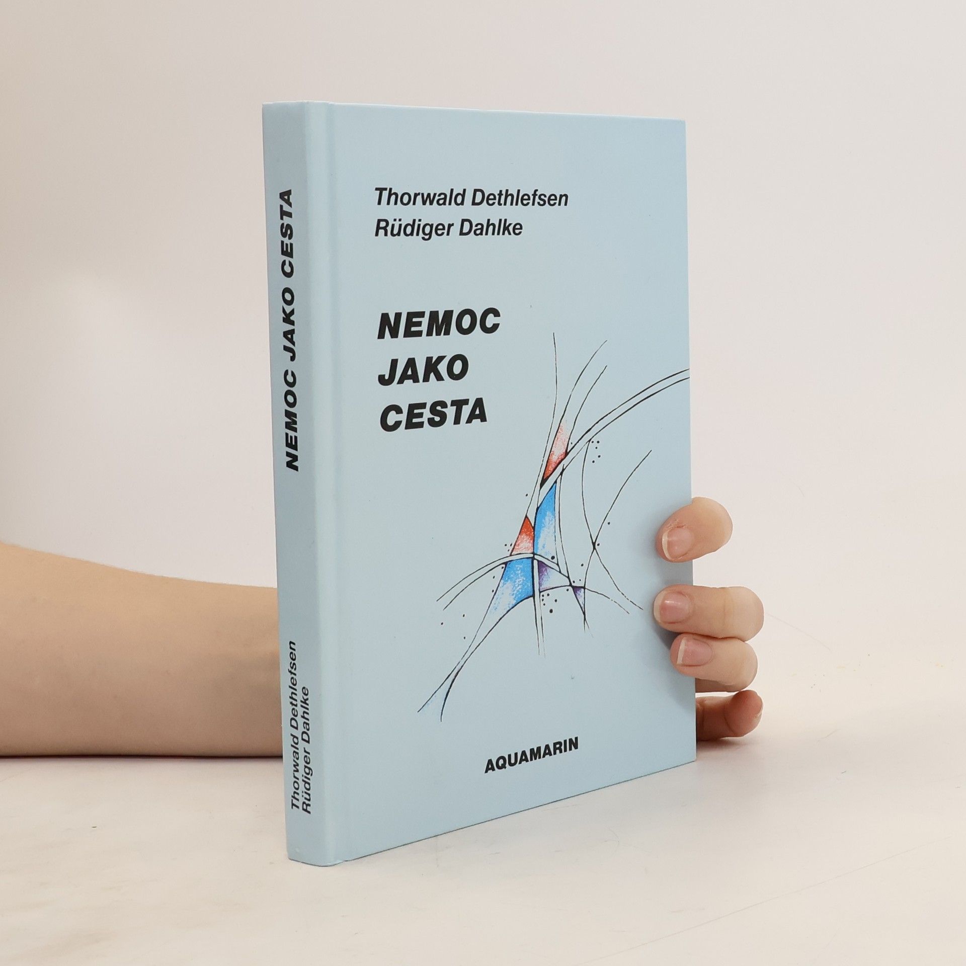 Thorwald Dethlefsen Nemoc jako cesta