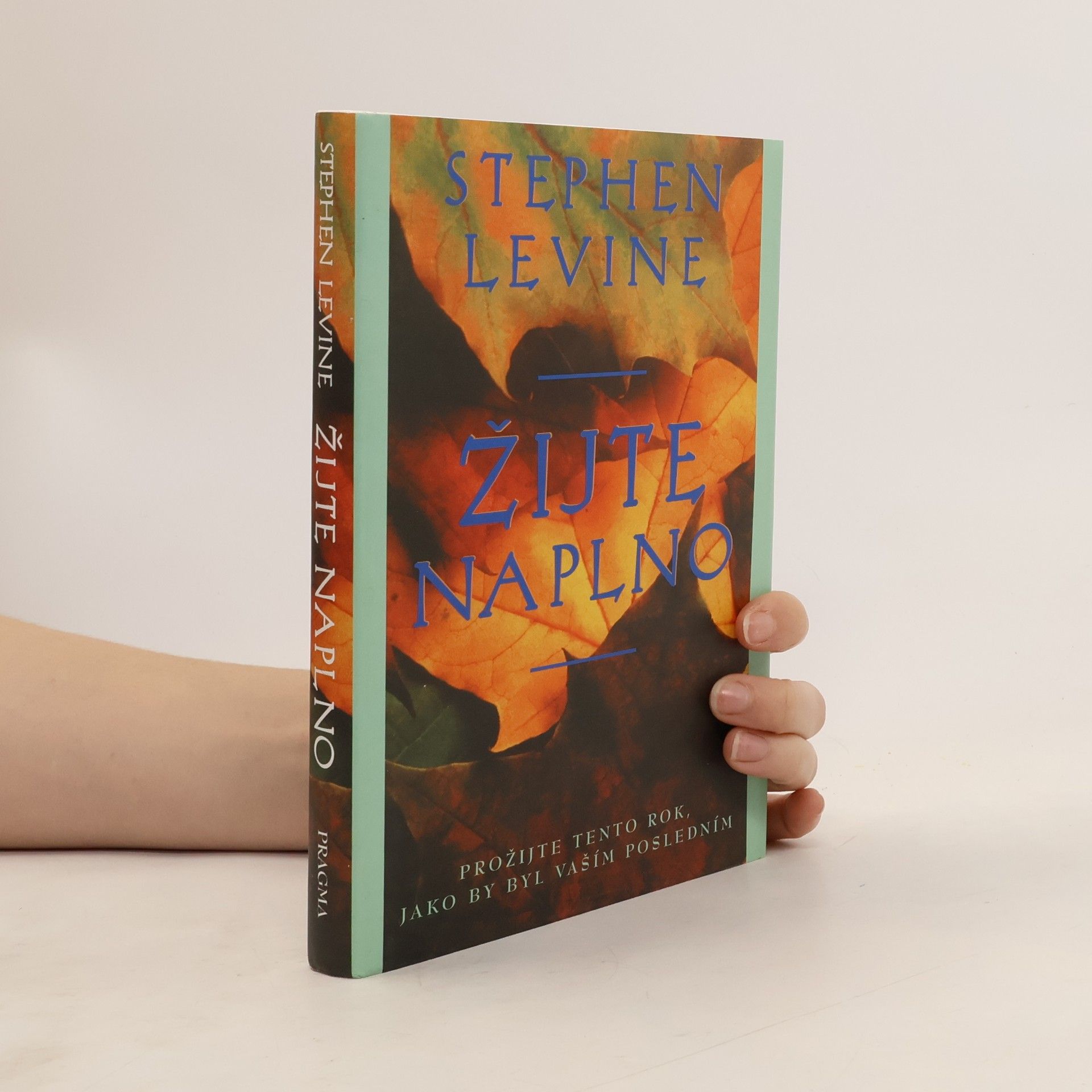 Stephen Levine Žijte naplno: Prožijte tento rok, jako by byl vaším posledním