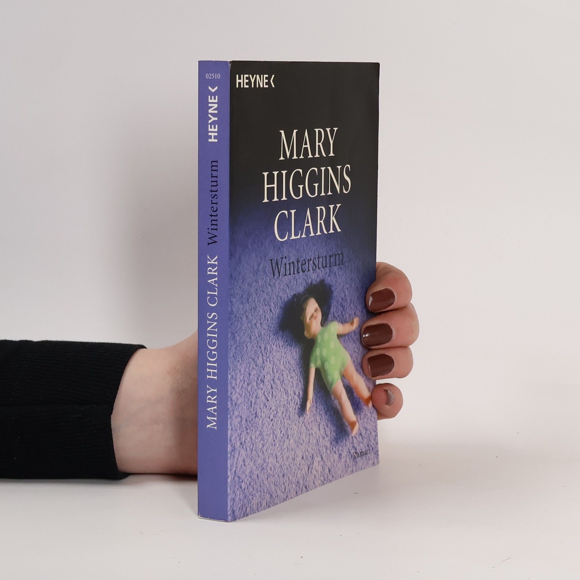 Mary Higgins Clark Wintersturm