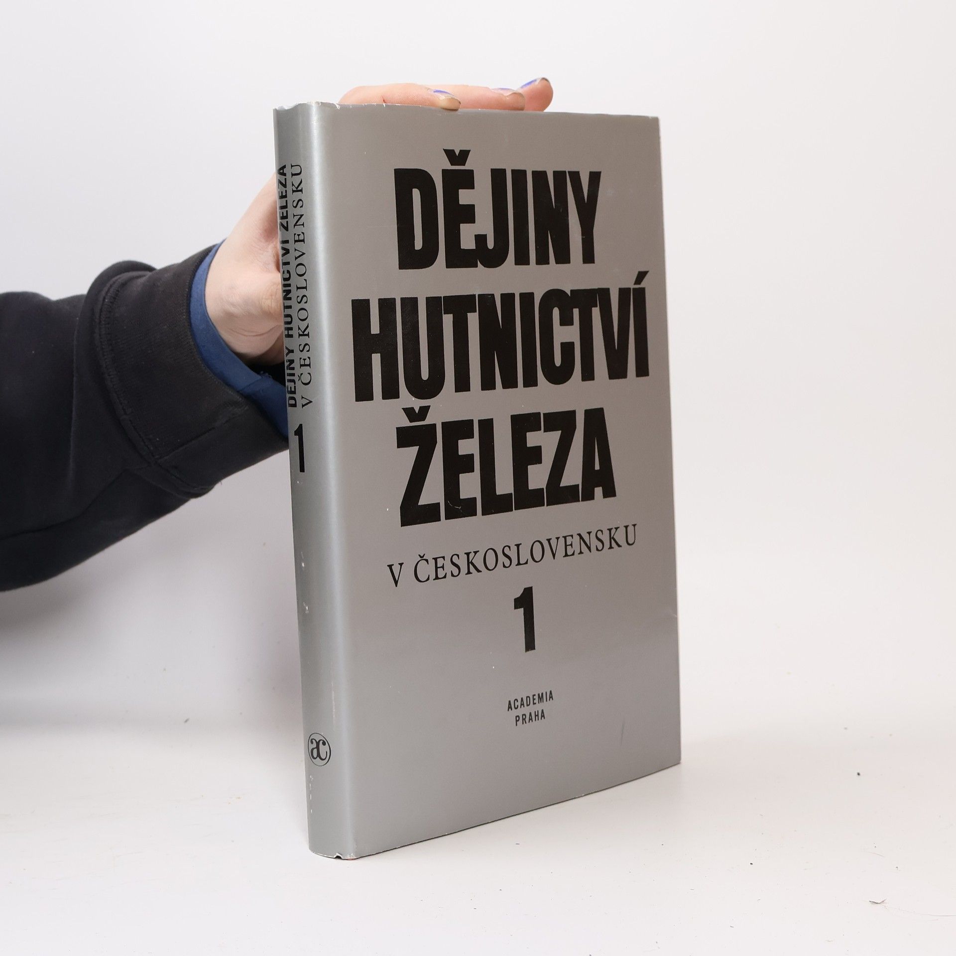 Autorenkollektiv Dějiny hutnictví železa v Československu 1