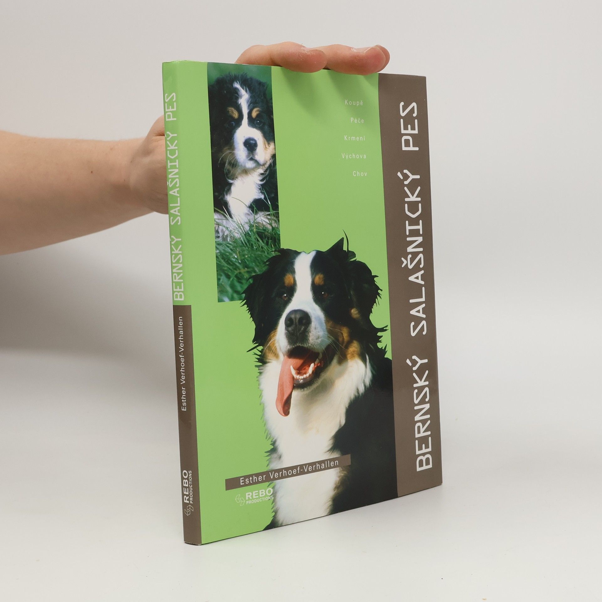 Berry Verhoef Bernský salašnický pes