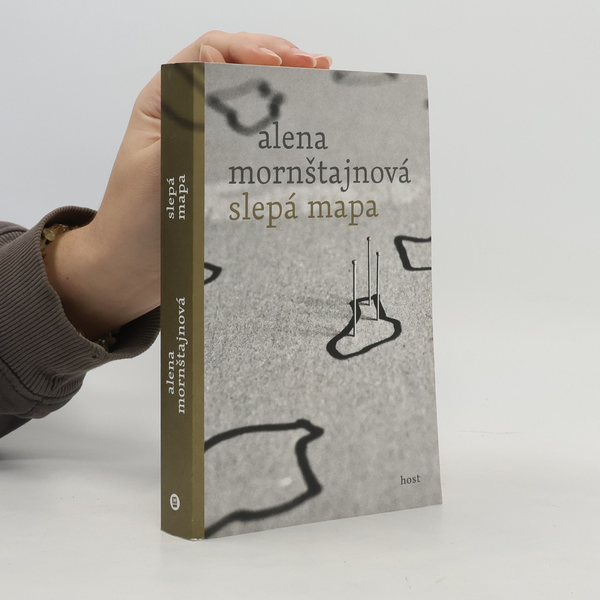 Alena Mornštajnová Slepá mapa