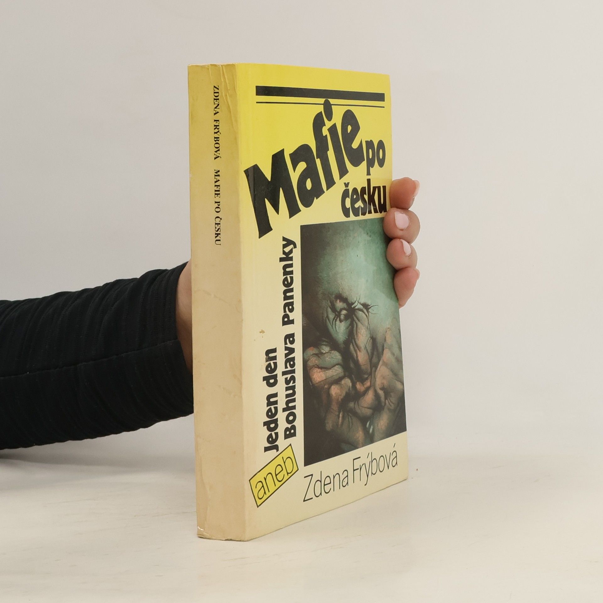 Zdena Frýbová Mafie po česku