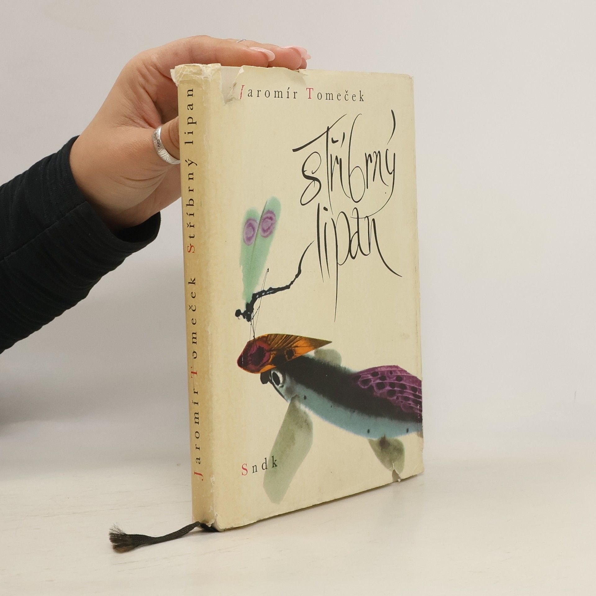 Jaromír Tomeček Stříbrný lipan