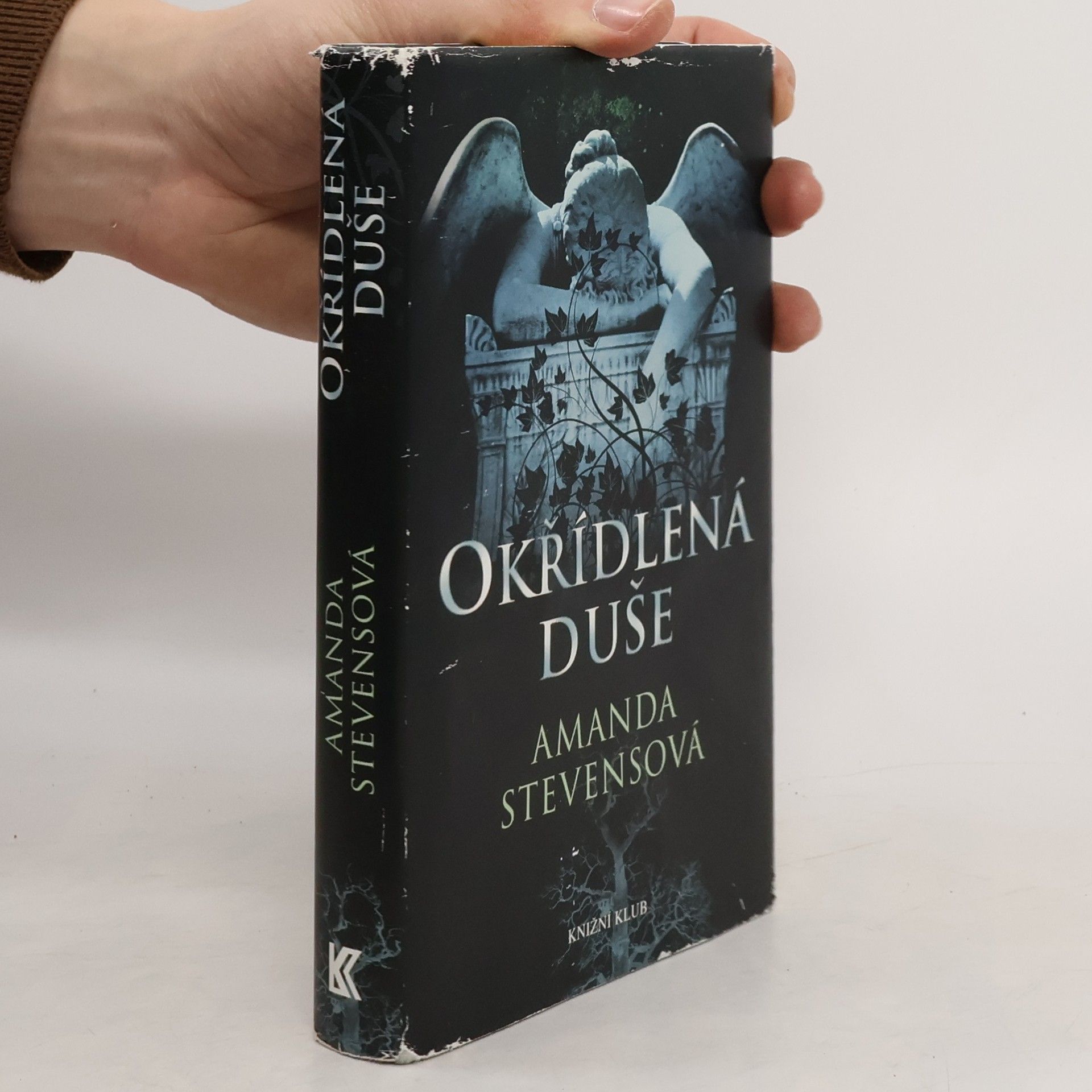 Amanda Stevens Okřídlená duše