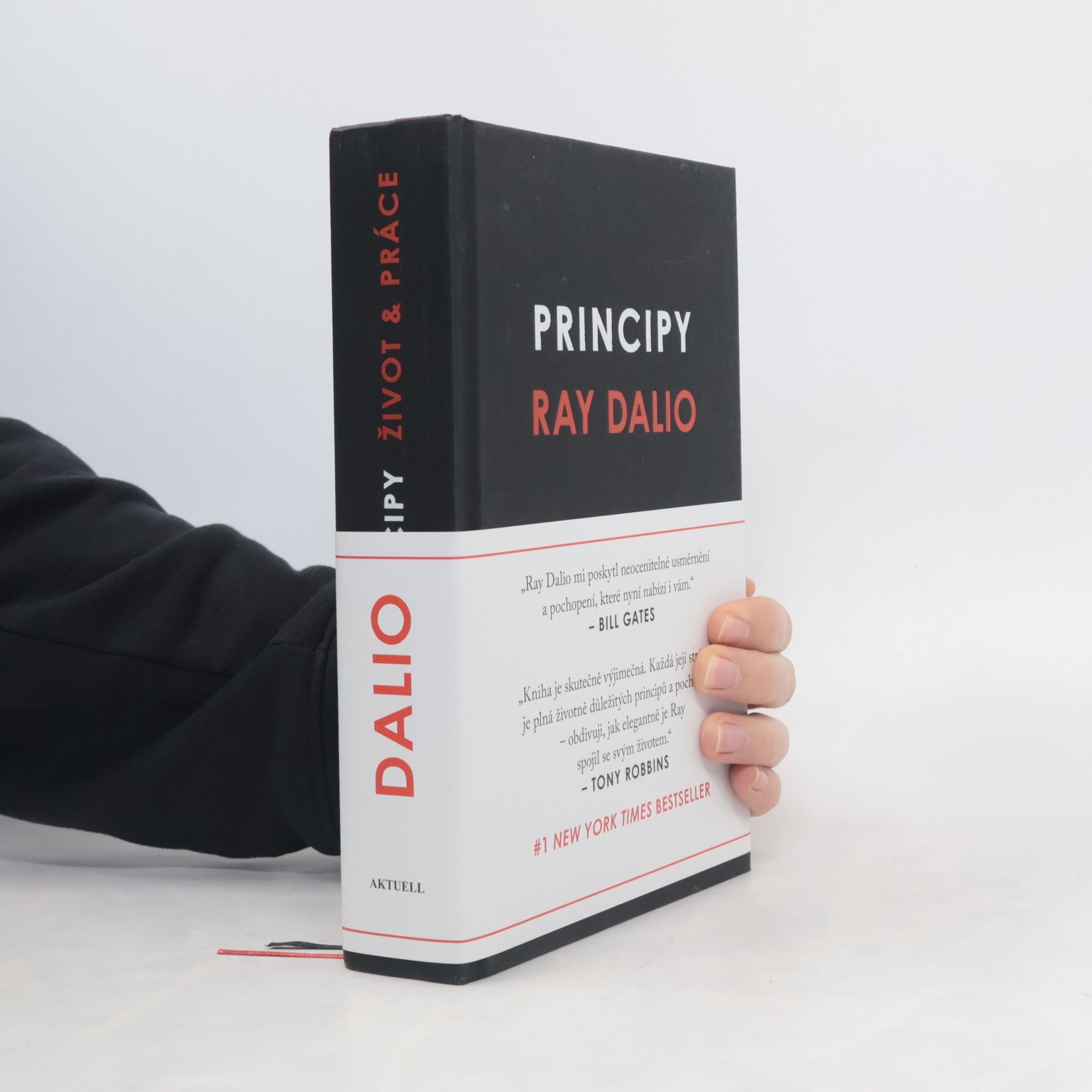 Jana Pacnerová Principy