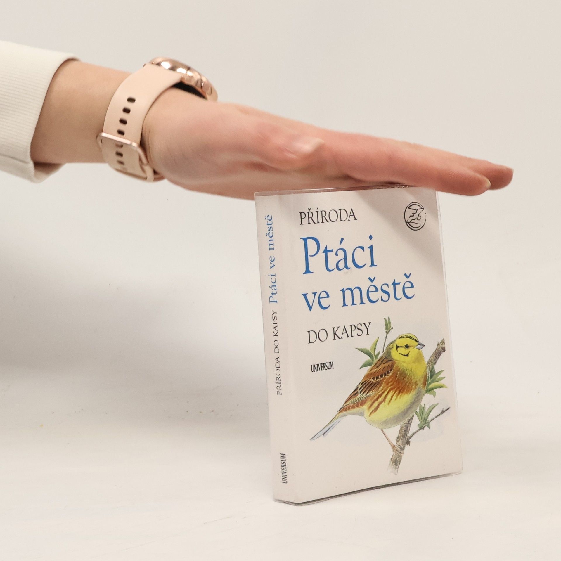 Kolektiv autorů Ptáci ve městě