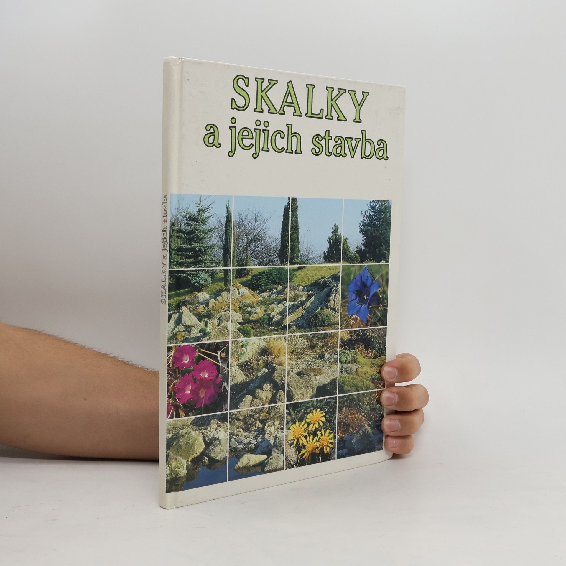 Vojtěch Holubec Skalky a jejich stavba