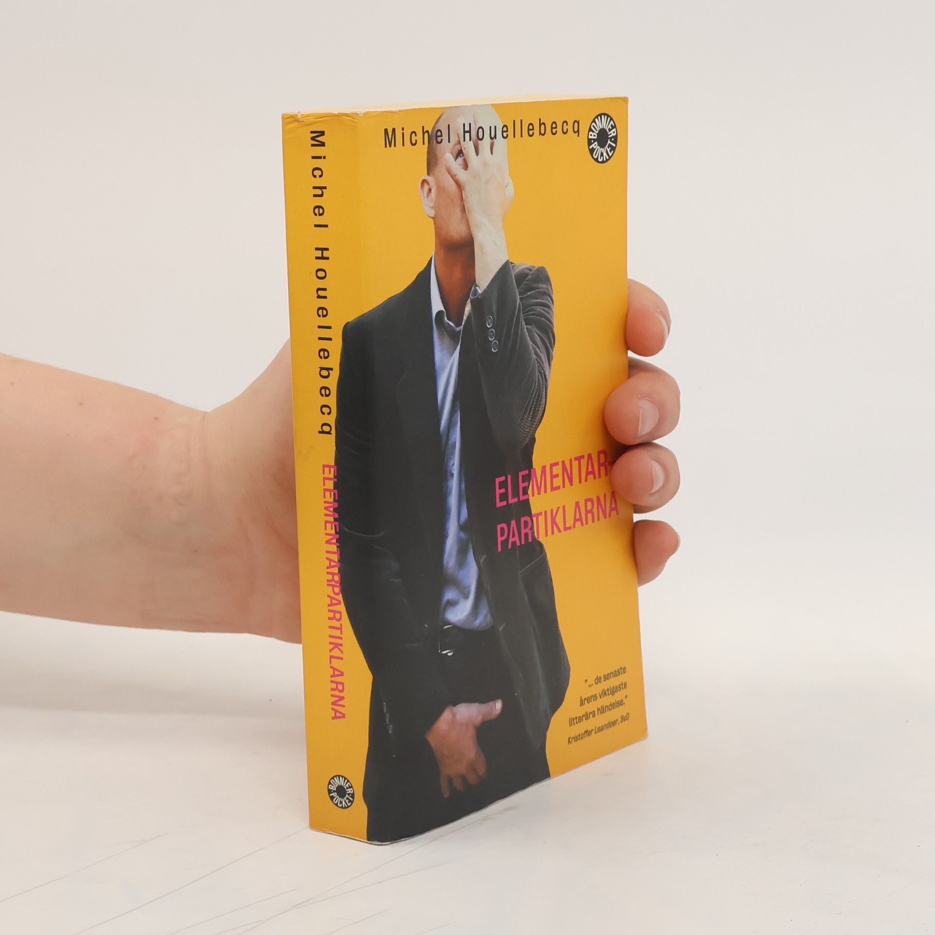 Michel Houellebecq Elementarpartiklarna