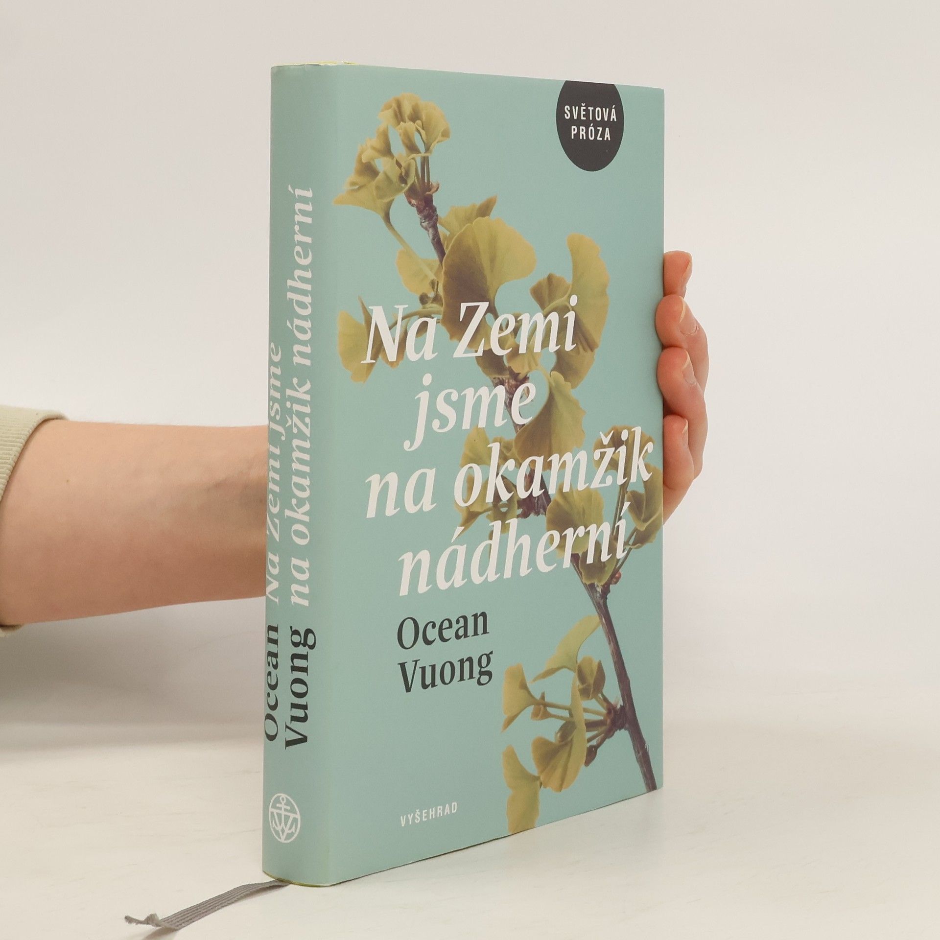 Ocean Vuong Na Zemi jsme na okamžik nádherní