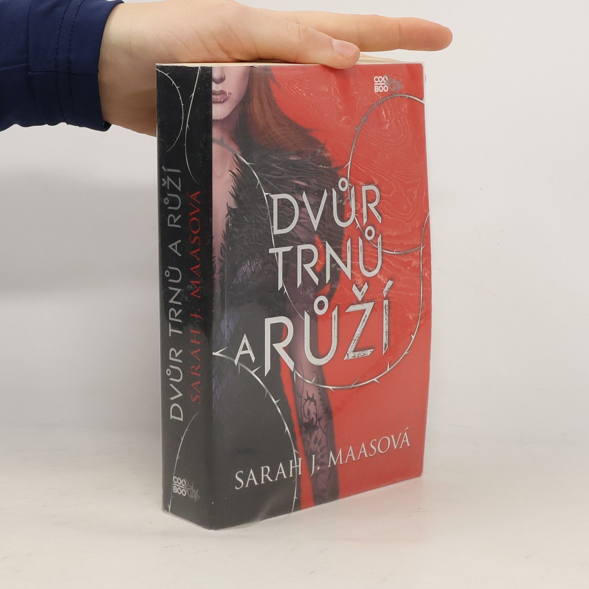 Sarah J. Maas Dvůr trnů a růží