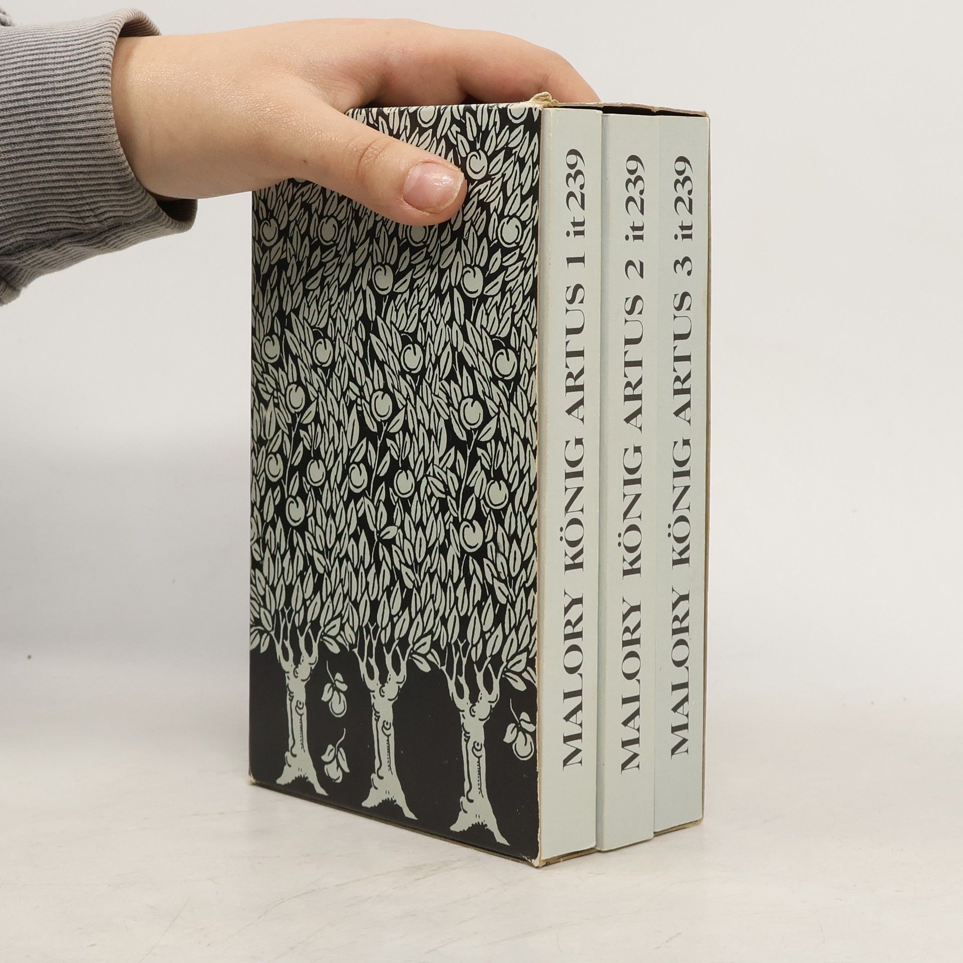 Thomas Malory Die Geschichten von König Artus und den Rittern seiner Tafelrunde 1-3