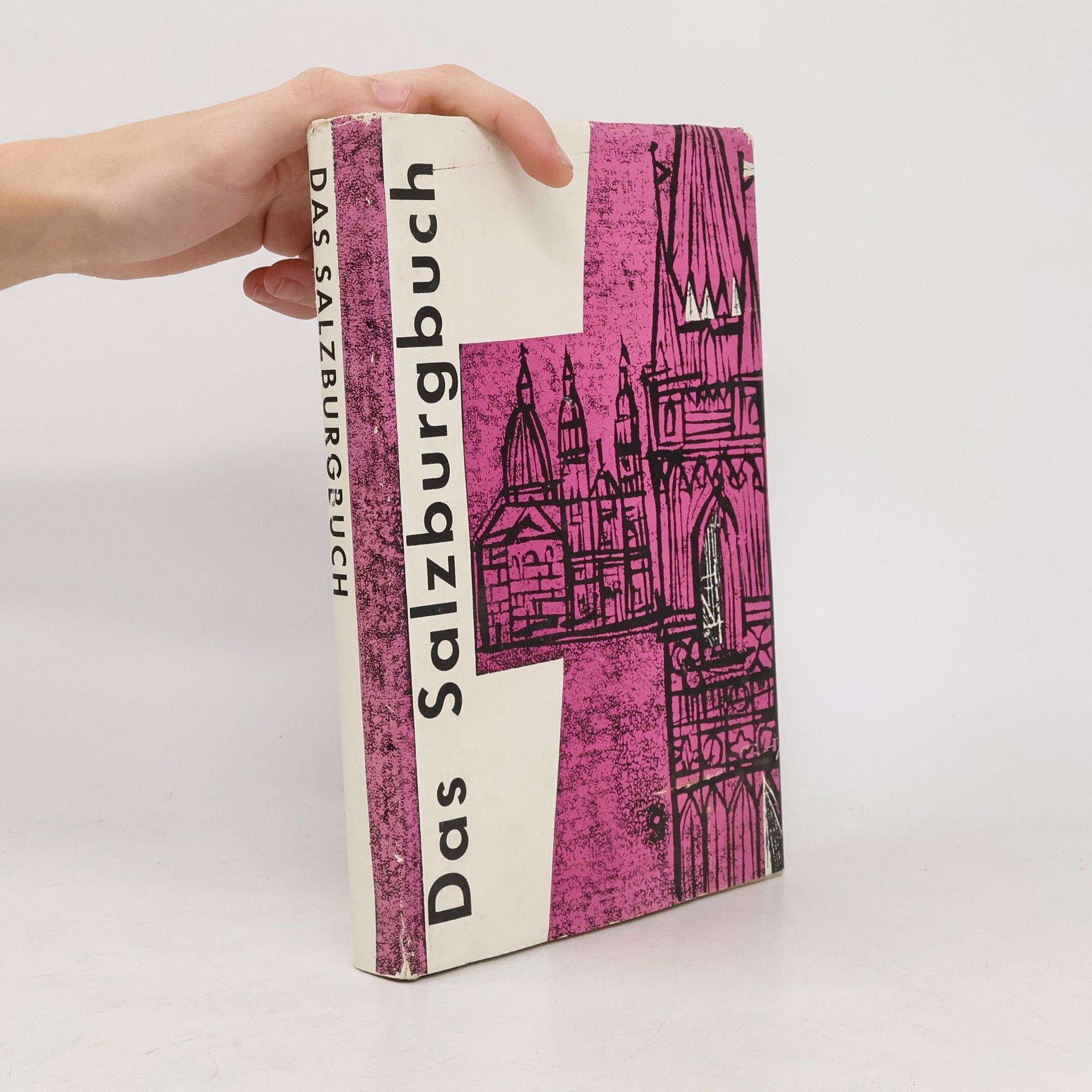 Autorenkollektiv Das Salzburgbuch