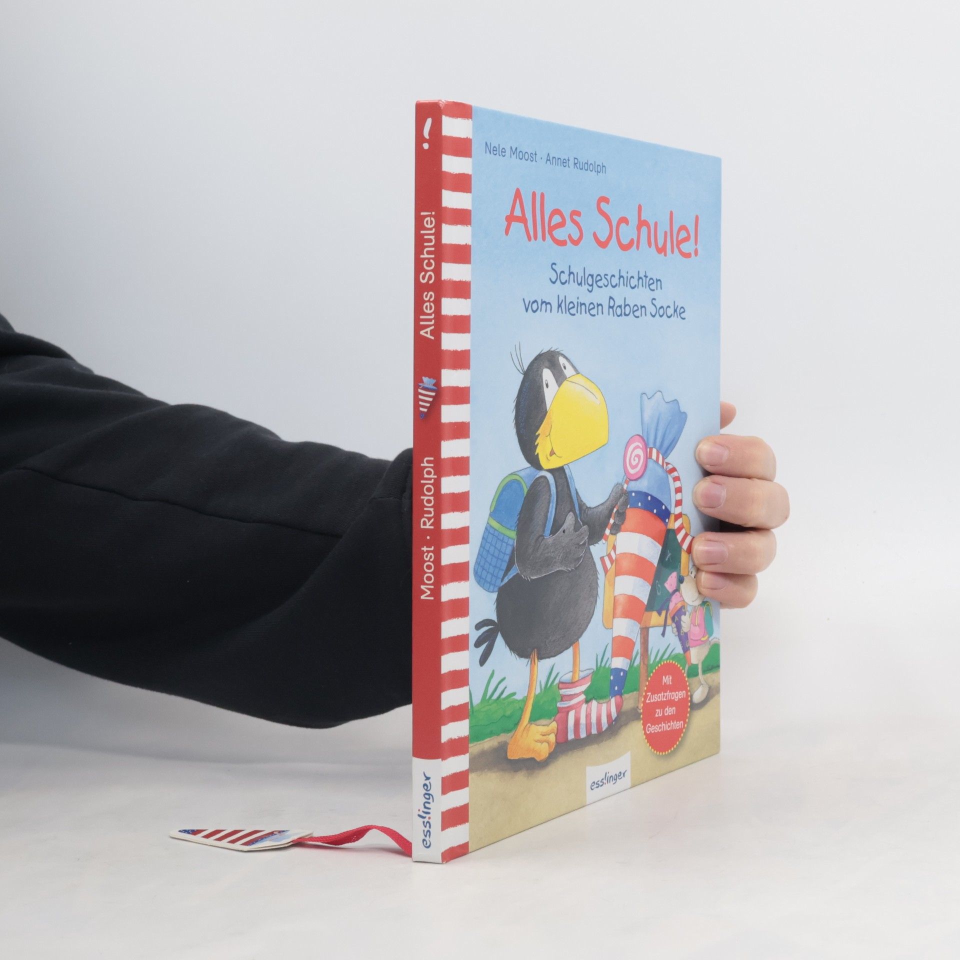 Nele Moost Der kleine Rabe Socke: Alles Schule!