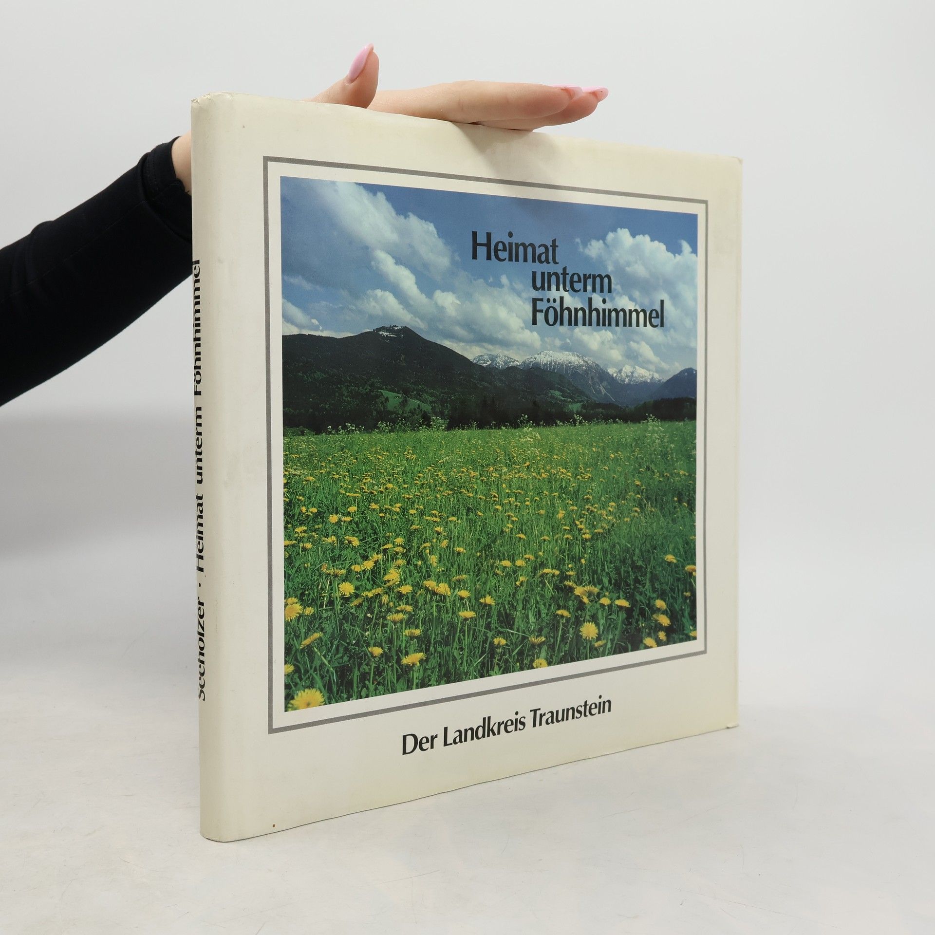 Peter T. Seeholzer Heimat unterm Föhnhimmel