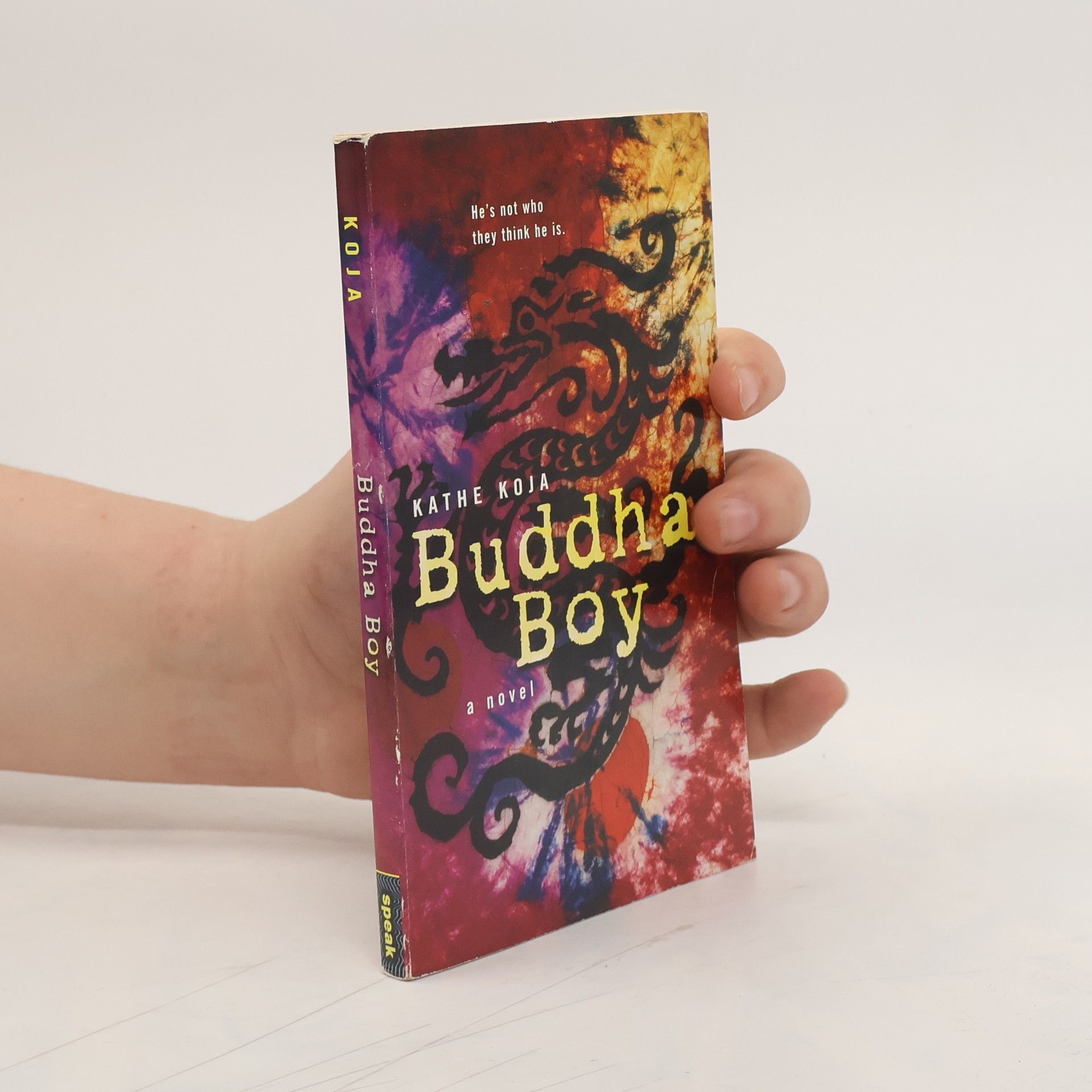 Kathe Koja Buddha Boy