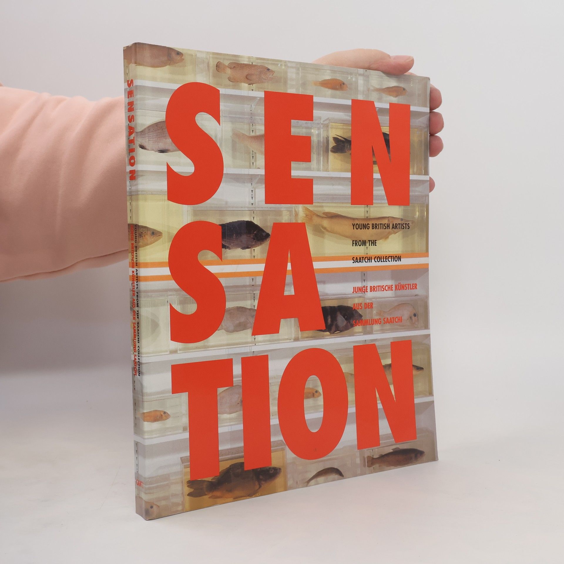 Brooks Adams Sensation