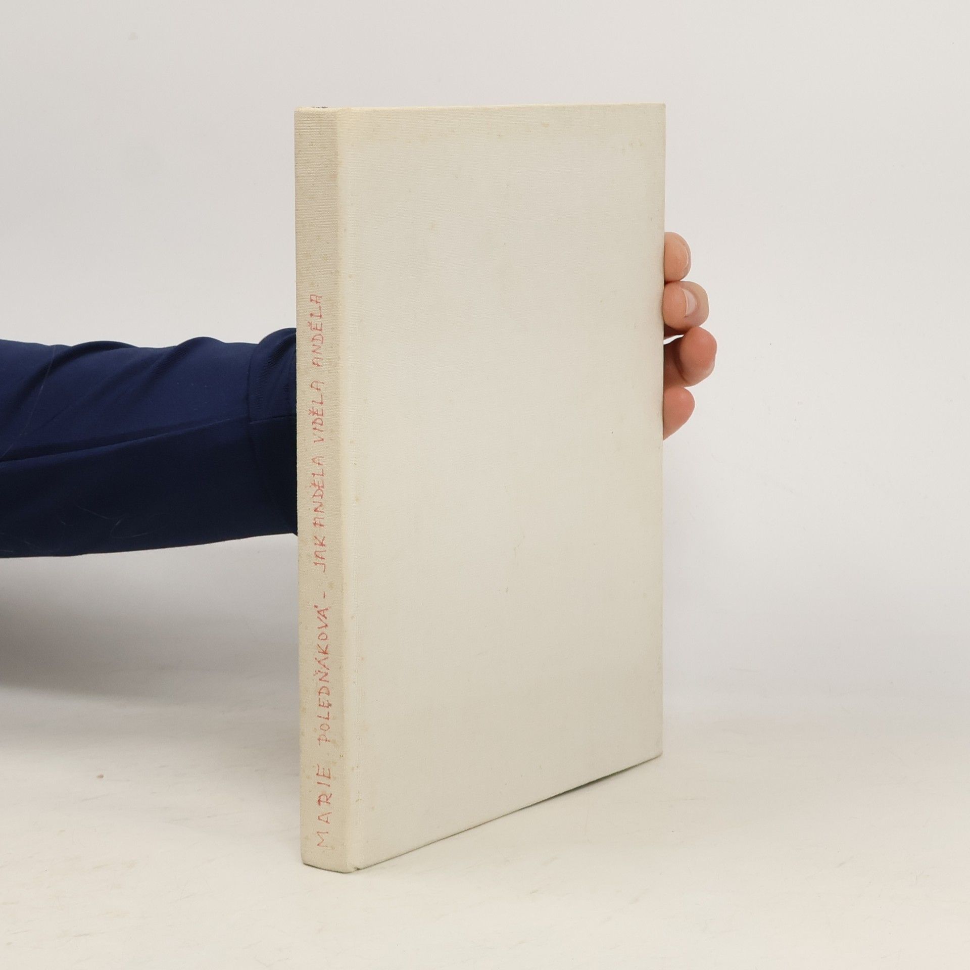 Marie Poledňáková Jak Anděla viděla anděla