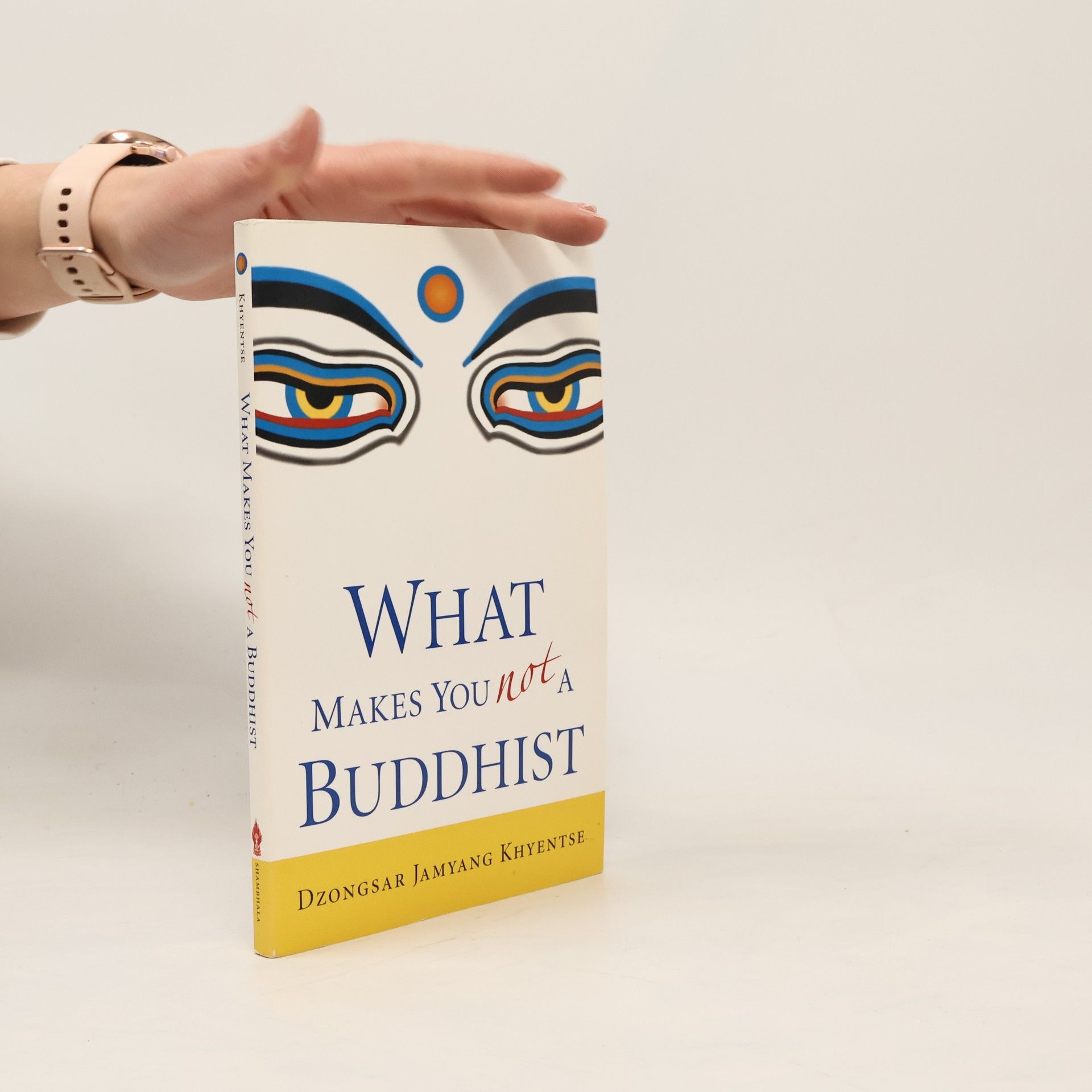 Khyentse Norbu What Makes You Not a Buddhist