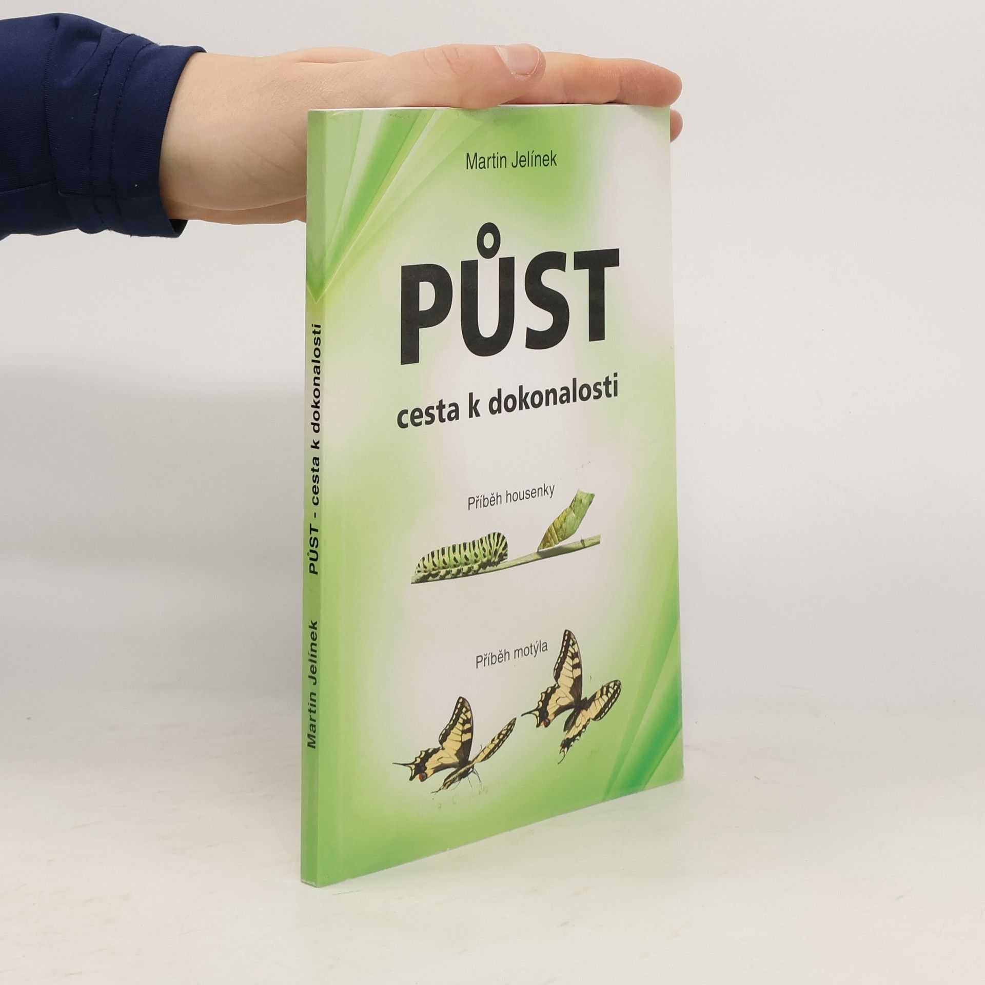 Jelínek Martin Půst - cesta k dokonalosti