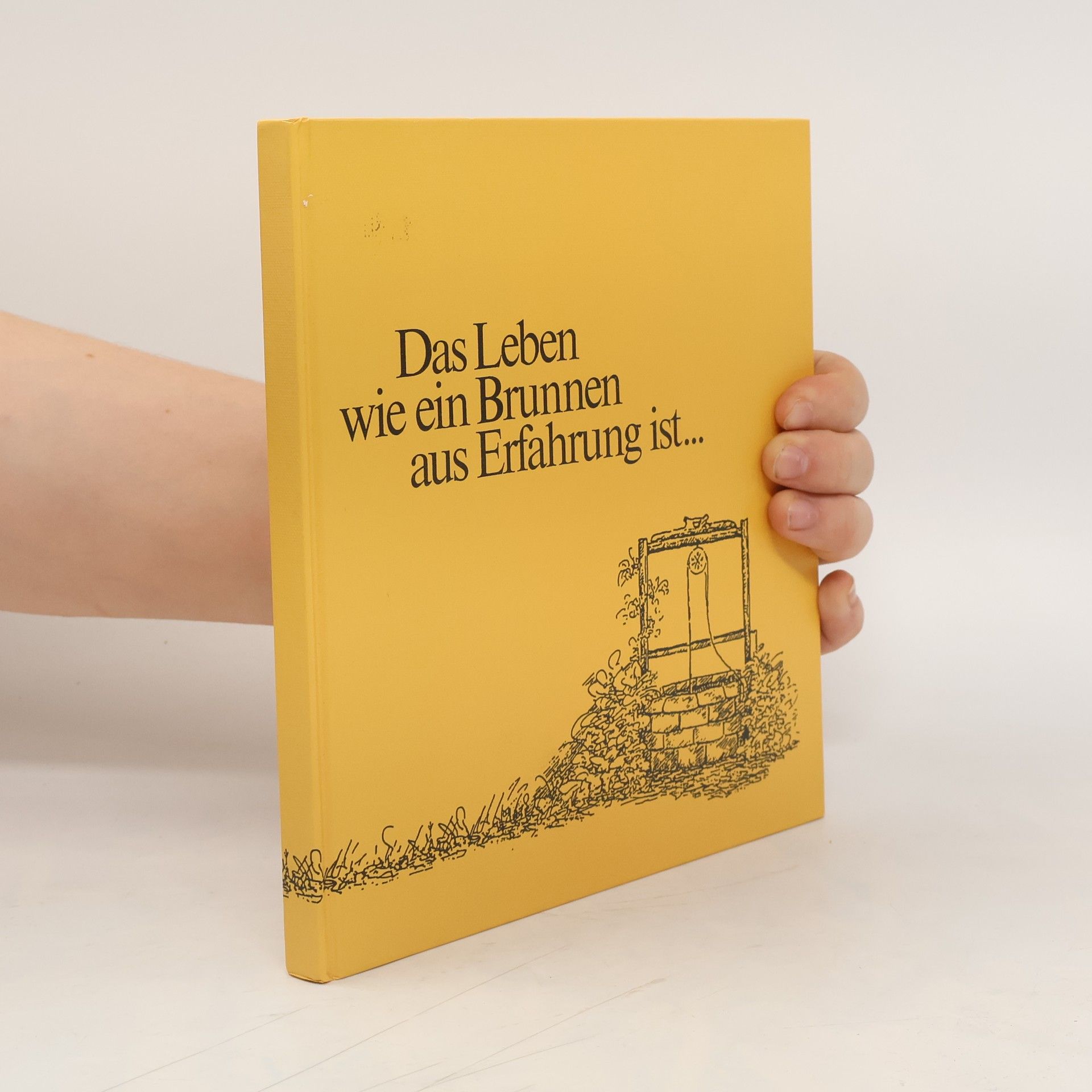 Collectif d'auteurs Das Leben wie ein Brunnen aus Erfahrung ist...