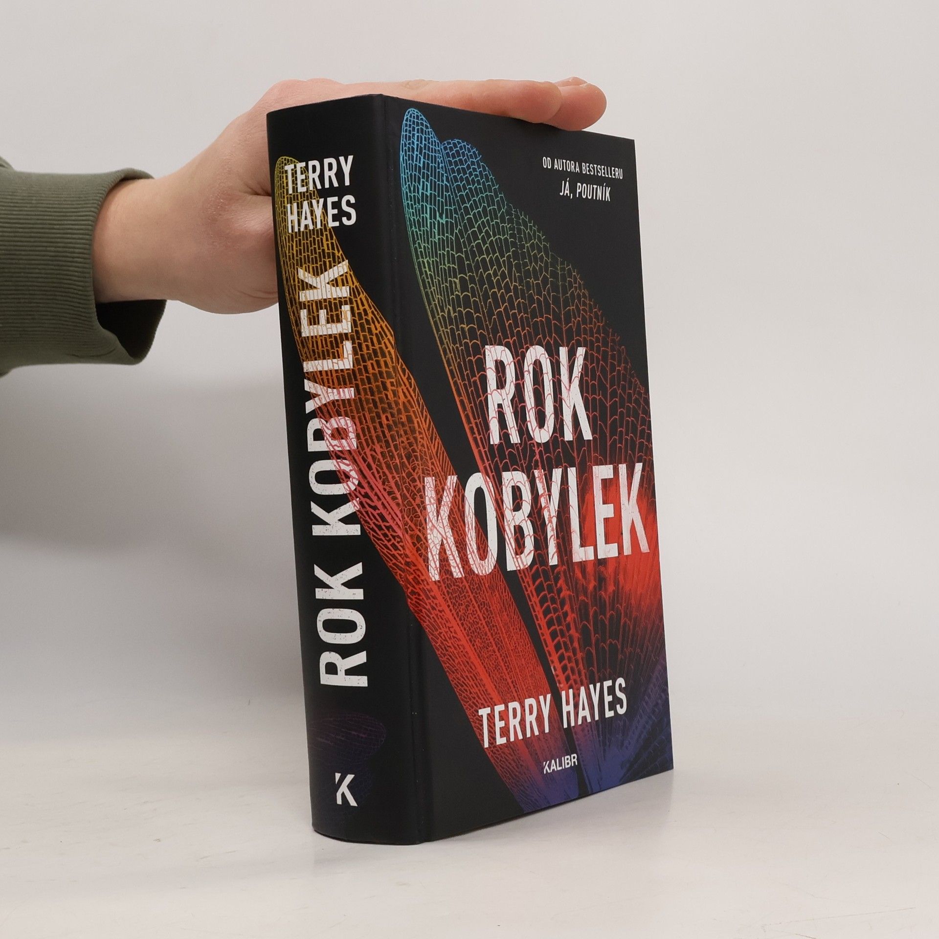 Terry Hayes Rok kobylek