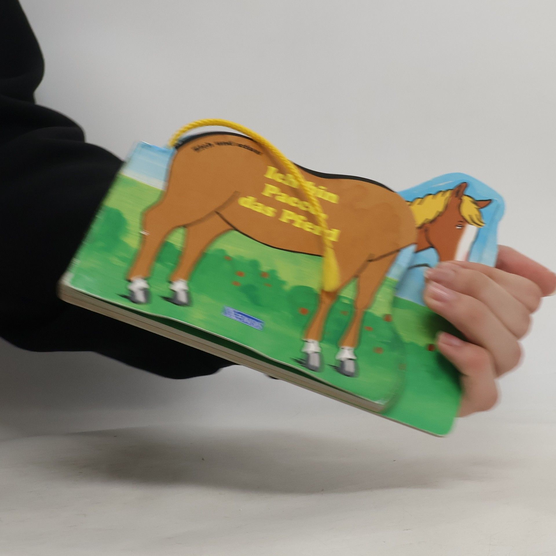 Tim Healey Ich bin Pacco, das Pferd