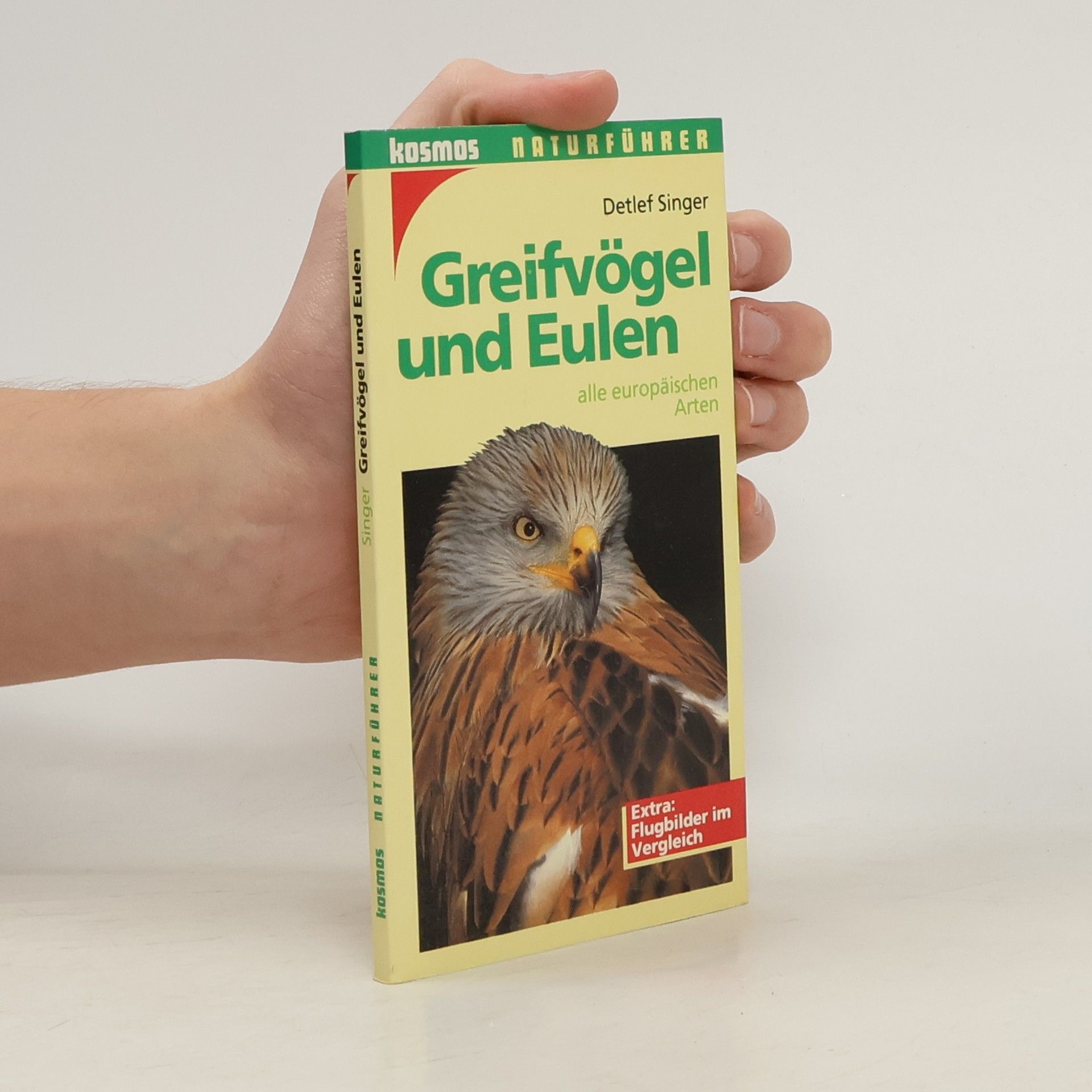 Greifvögel und Eulen