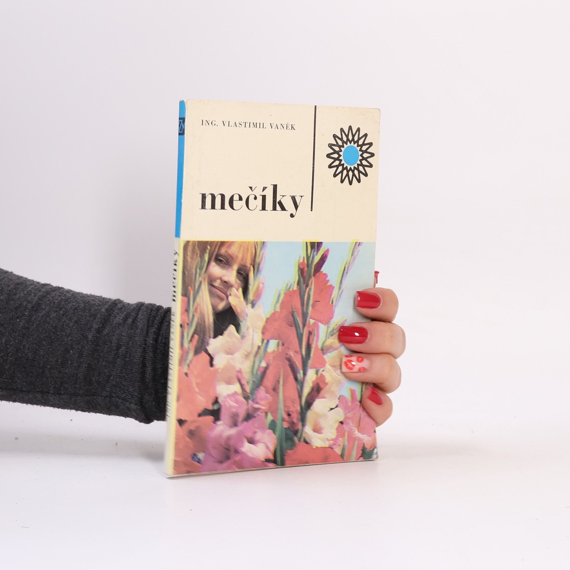 Vlastimil Vaněk Mečíky