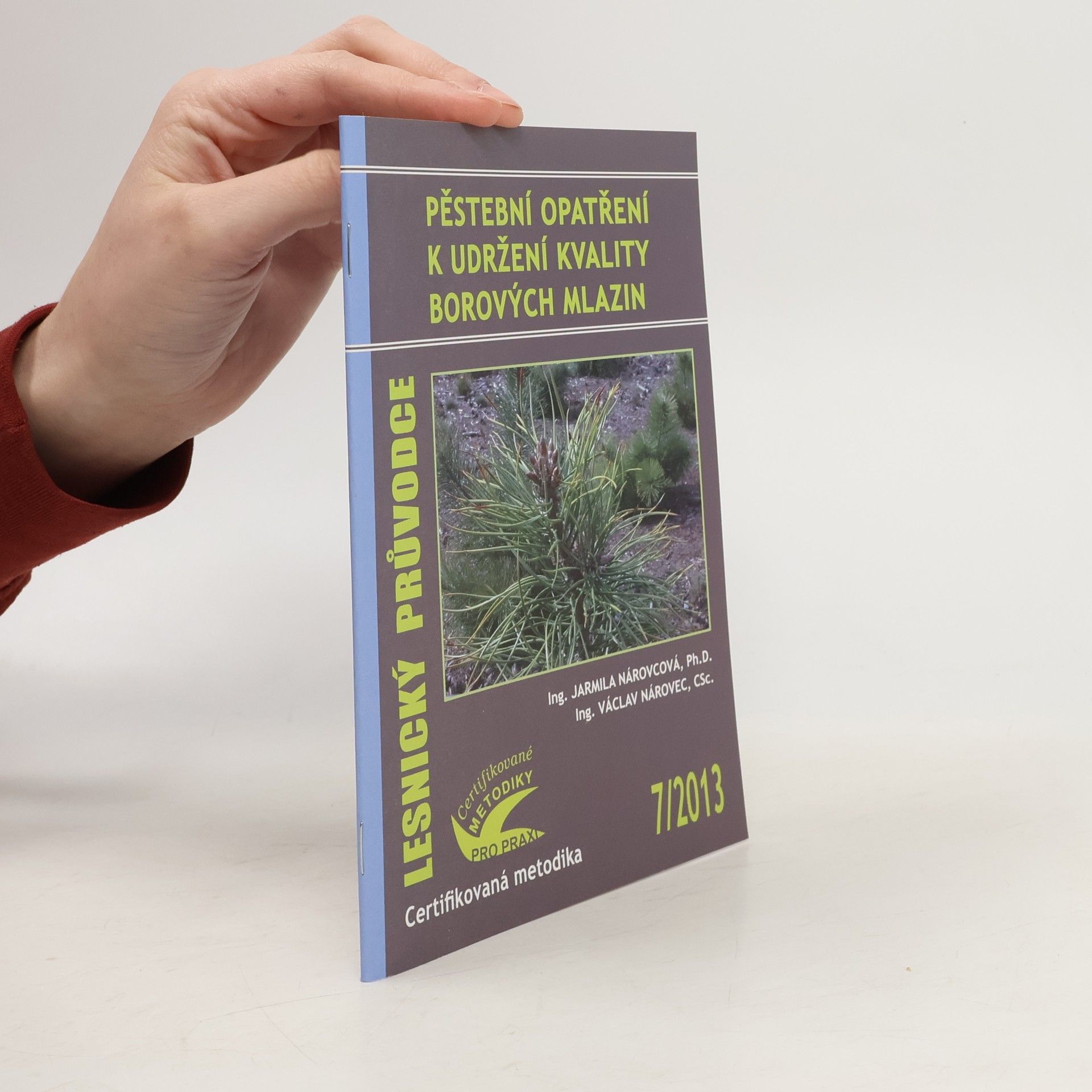 Lesnický průvodce: Pěstební opatření k udržení kvality borových mlazin