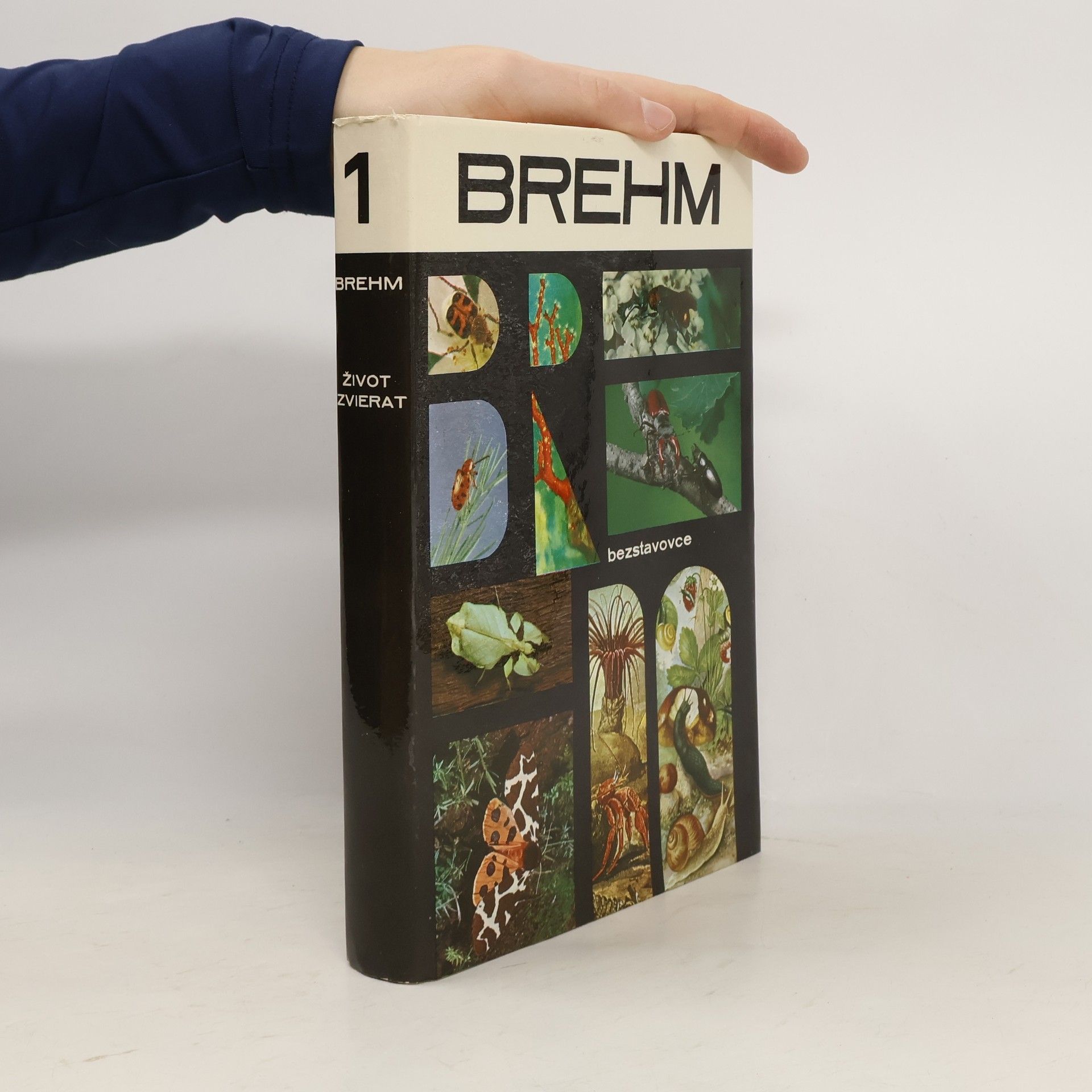 Brehm Život zvierat 1. Bezstavovce