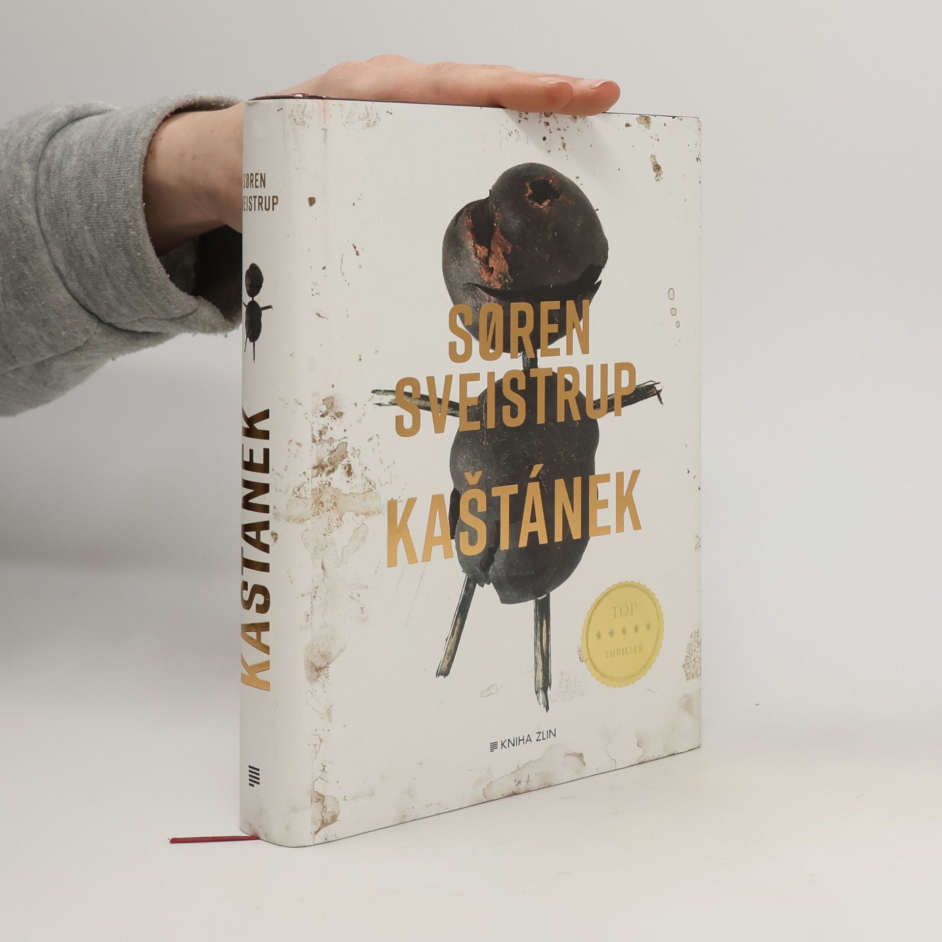 Søren Sveistrup Kaštánek