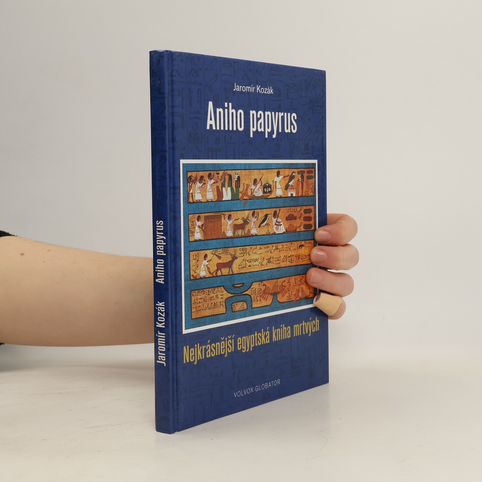 Jaromír Kozák Aniho papyrus: Nejkrásnější egyptská kniha mrtvých