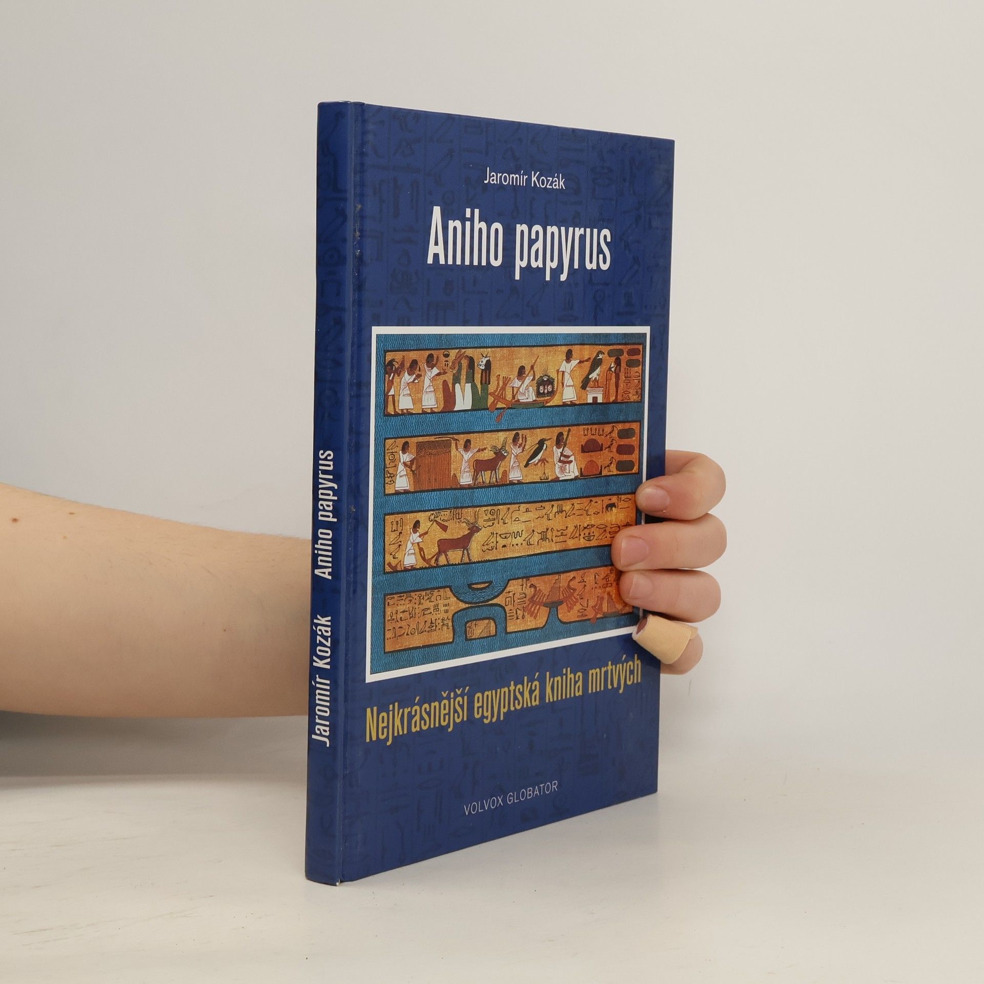 Jaromír Kozák Aniho papyrus: Nejkrásnější egyptská kniha mrtvých