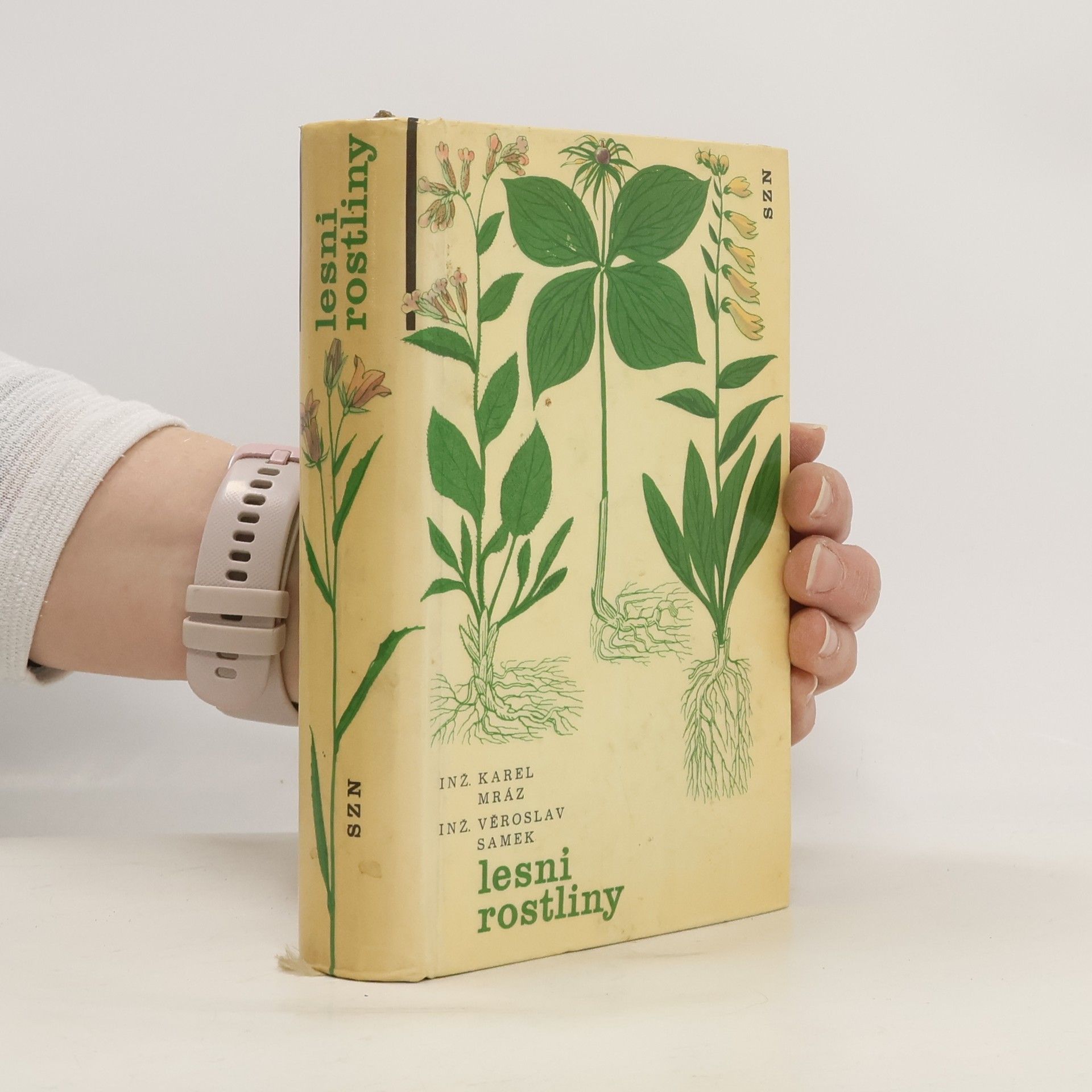 Karel Mráz Lesní rostliny