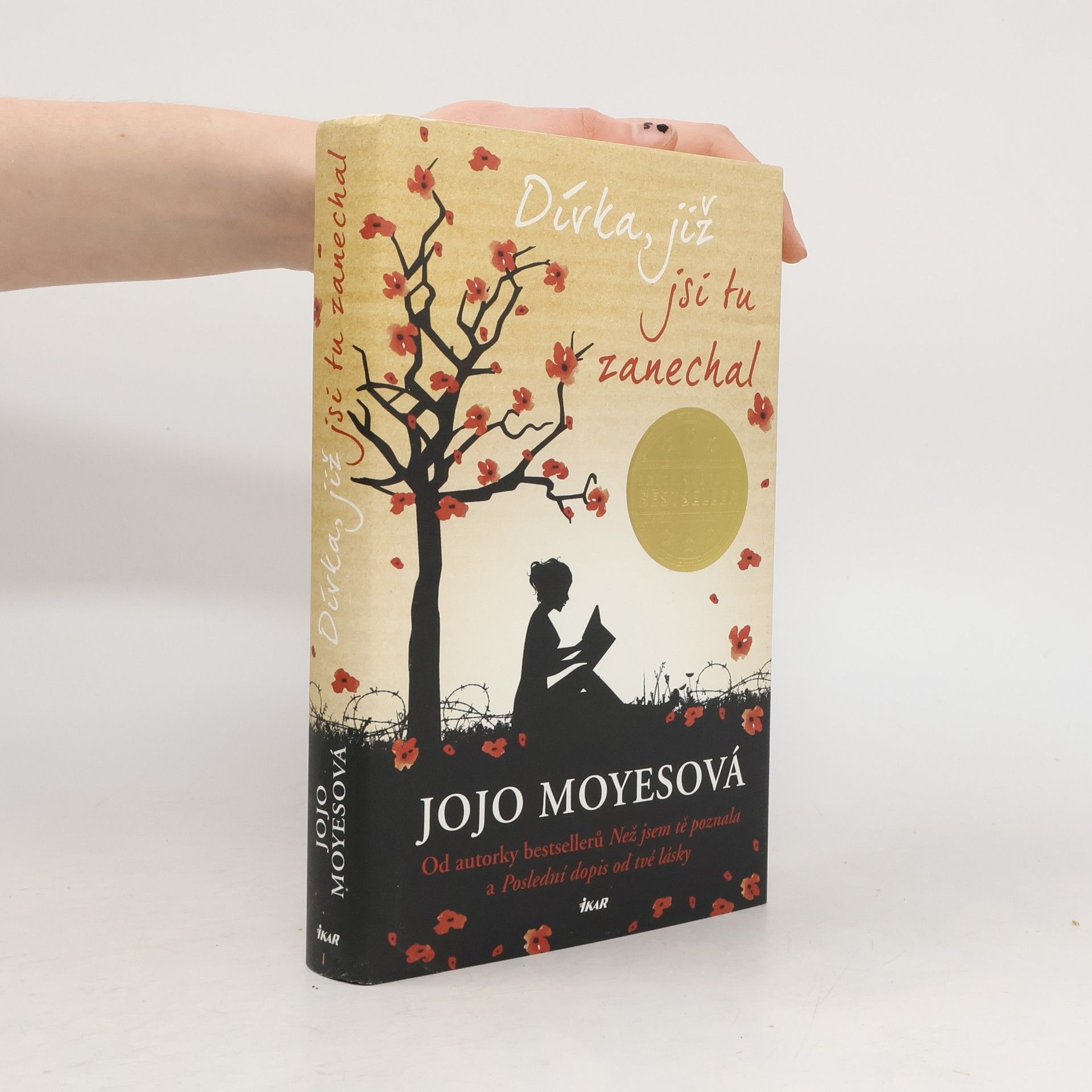 Lucie Mikolajková Dívka, již jsi tu zanechal