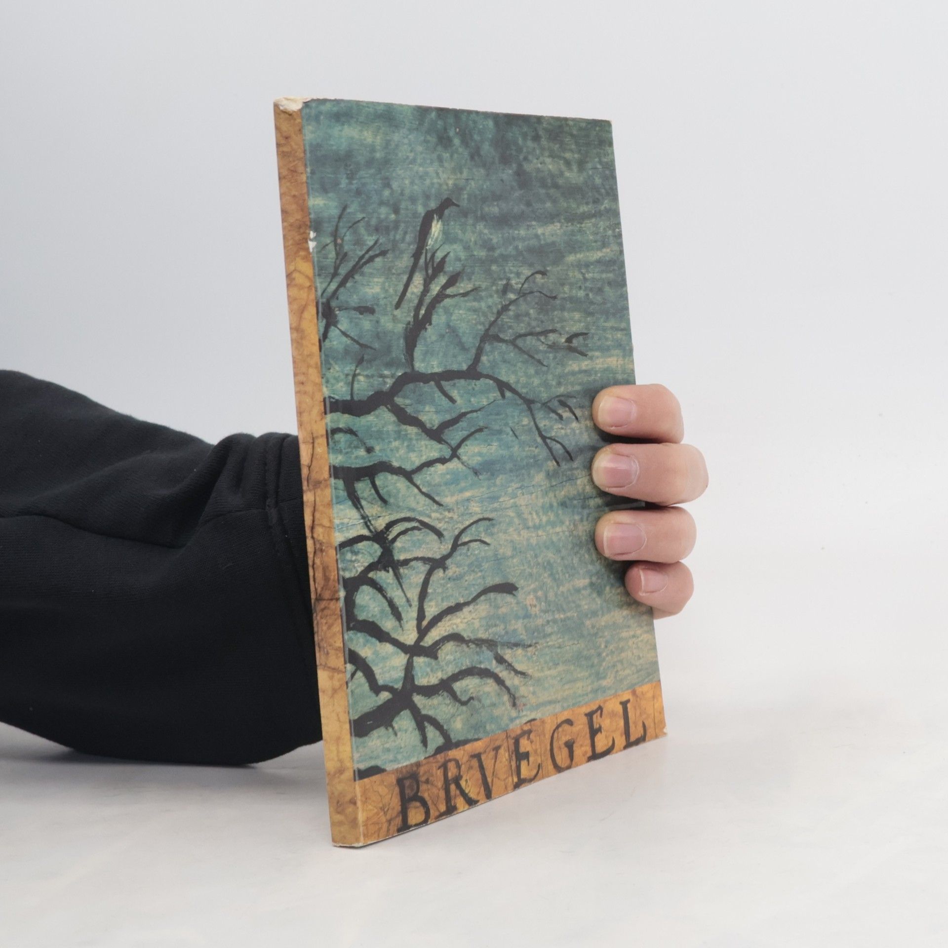 Pieter Brueghel the Elder Der Maler und seine Welt