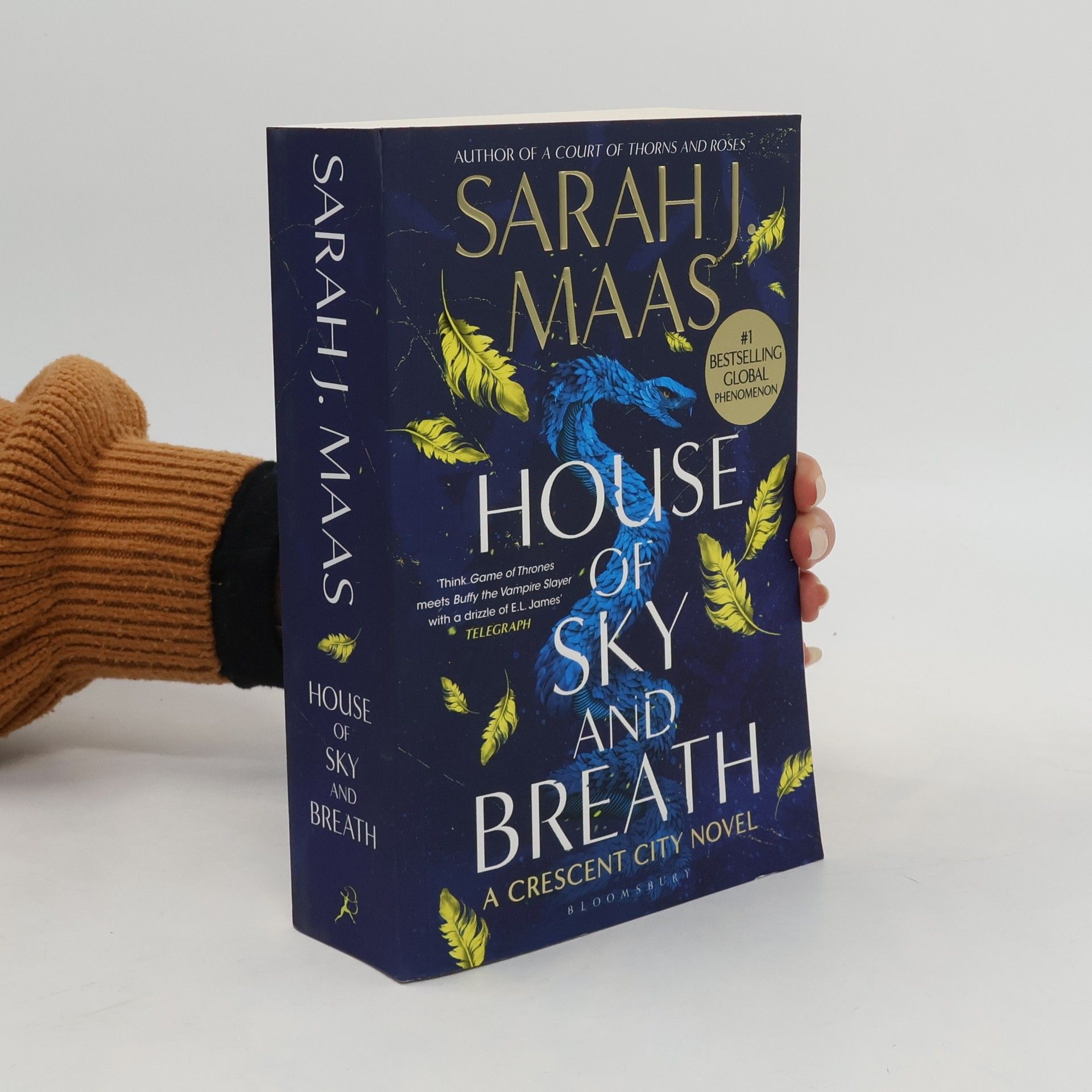 Sarah J. Maas House of Sky and Breath