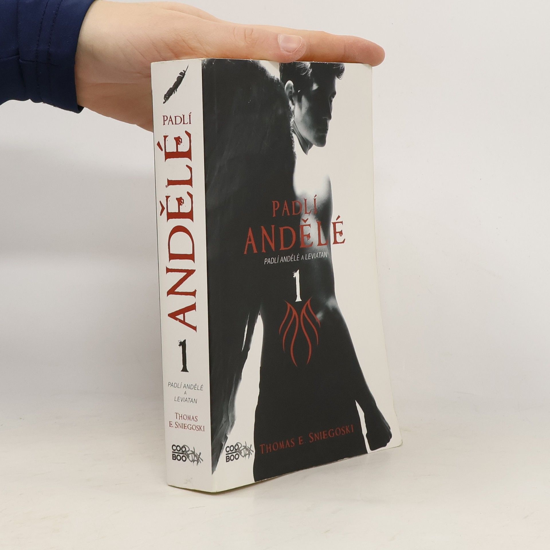 Thomas E. Sniegoski Padlí andělé a Leviatan. Padlí andělé. 1. díl