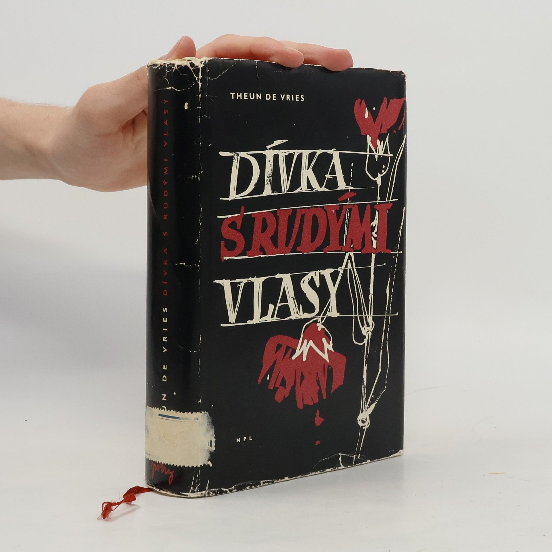 Theun de Vries Dívka s rudými vlasy