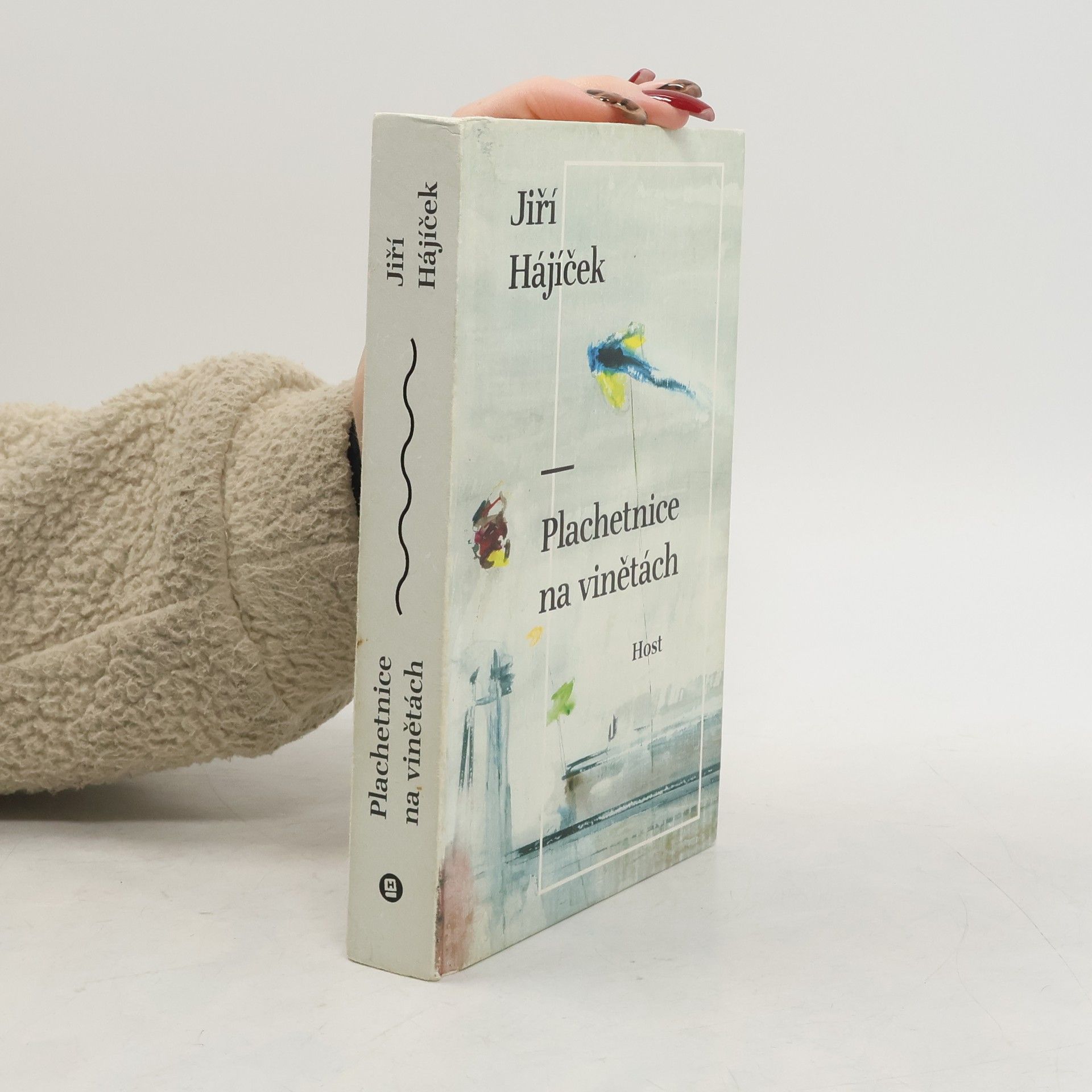 Jiří Hájíček Plachetnice na vinětách