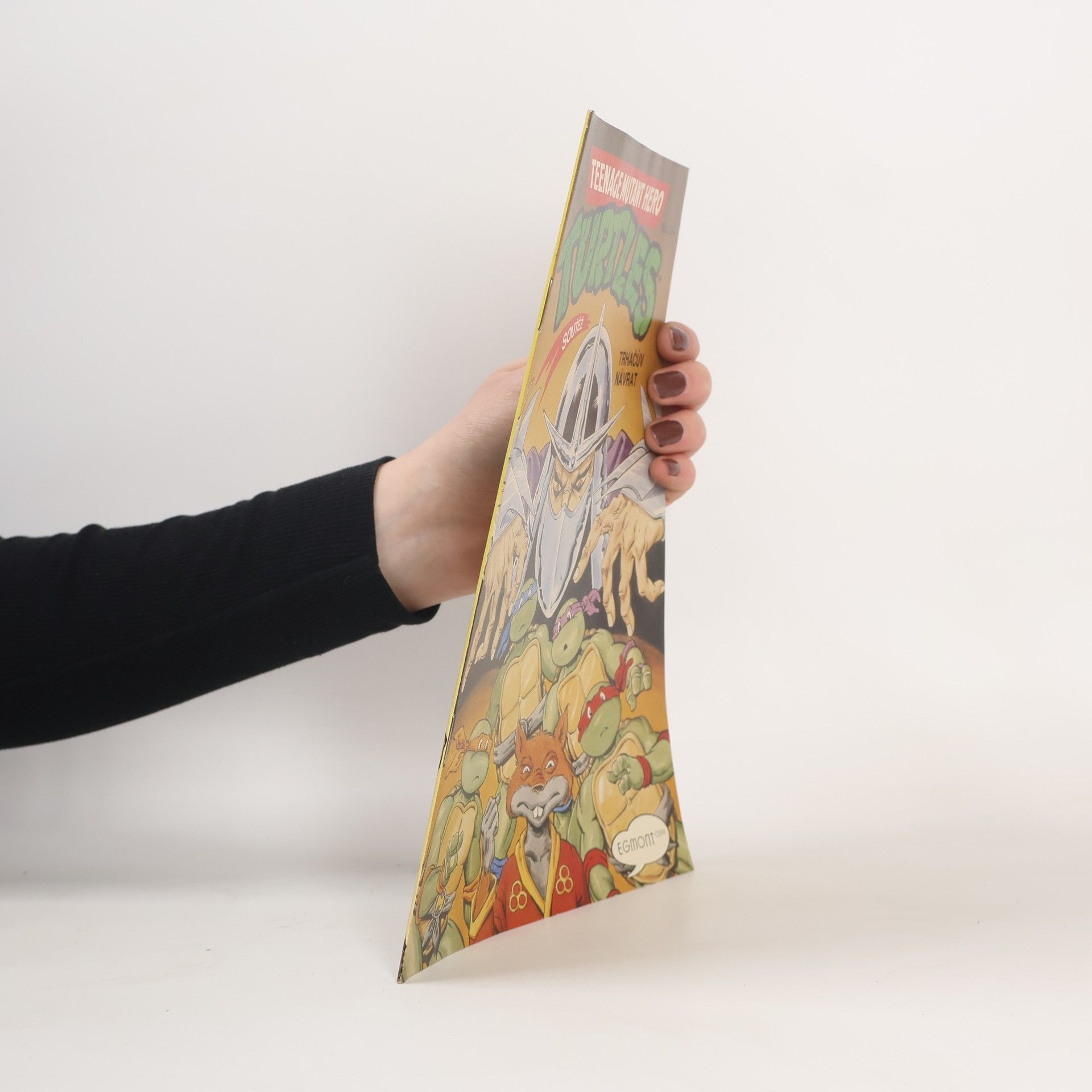 Dave Garcia Teenage Mutant Hero Turtles #05