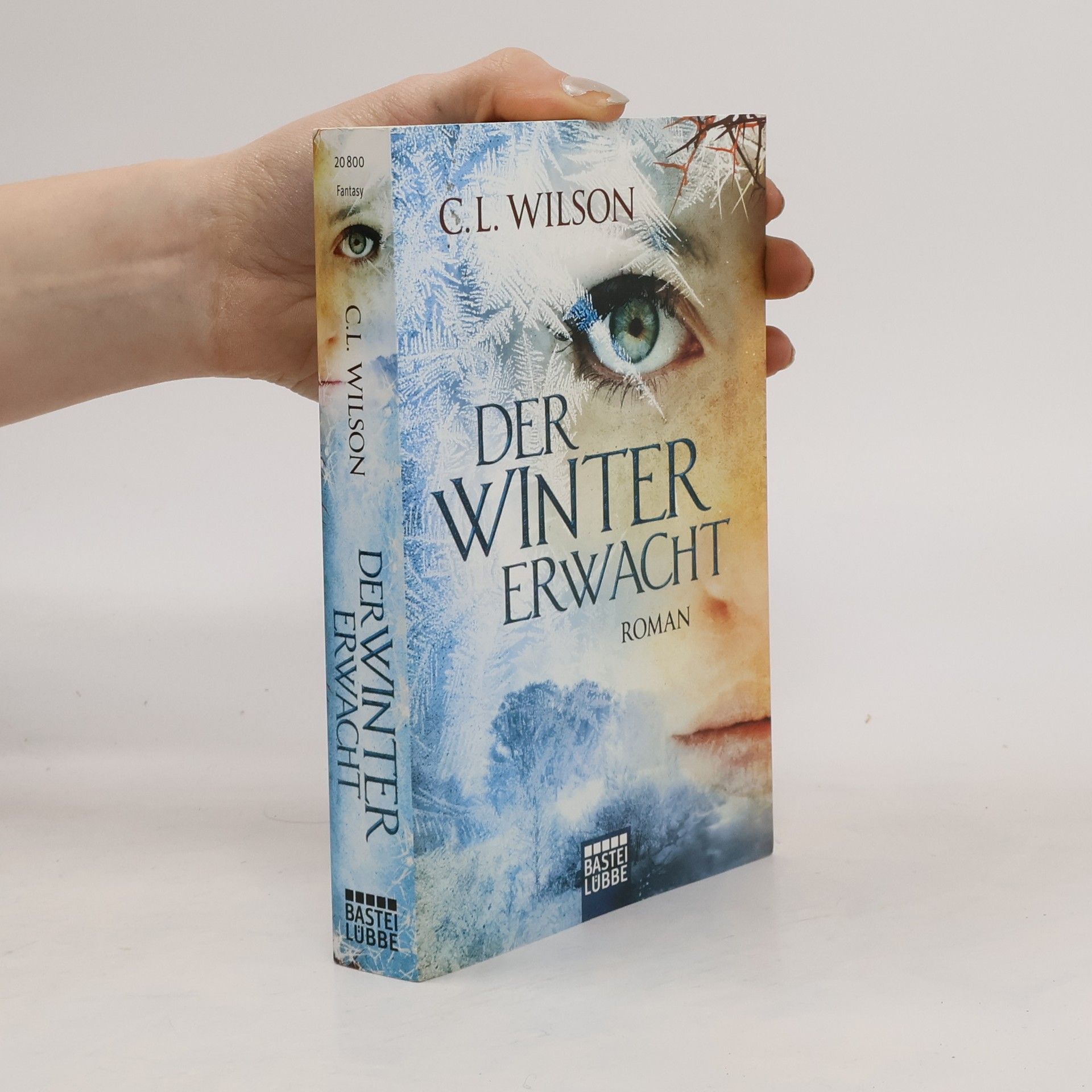 Cecil Leeburn Wilson Der Winter Erwacht