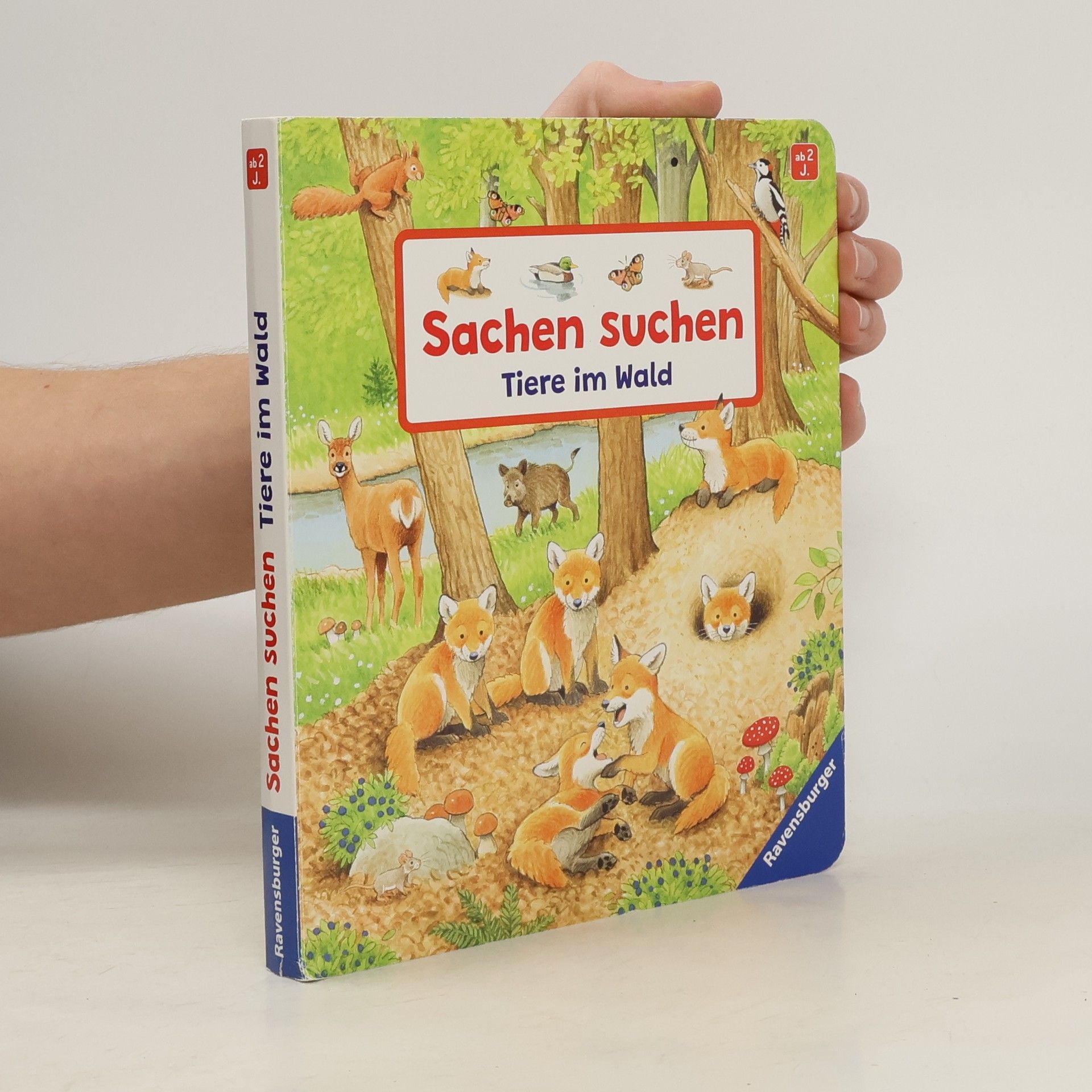 Susanne Gernhäuser Sachen suchen: Tiere im Wald