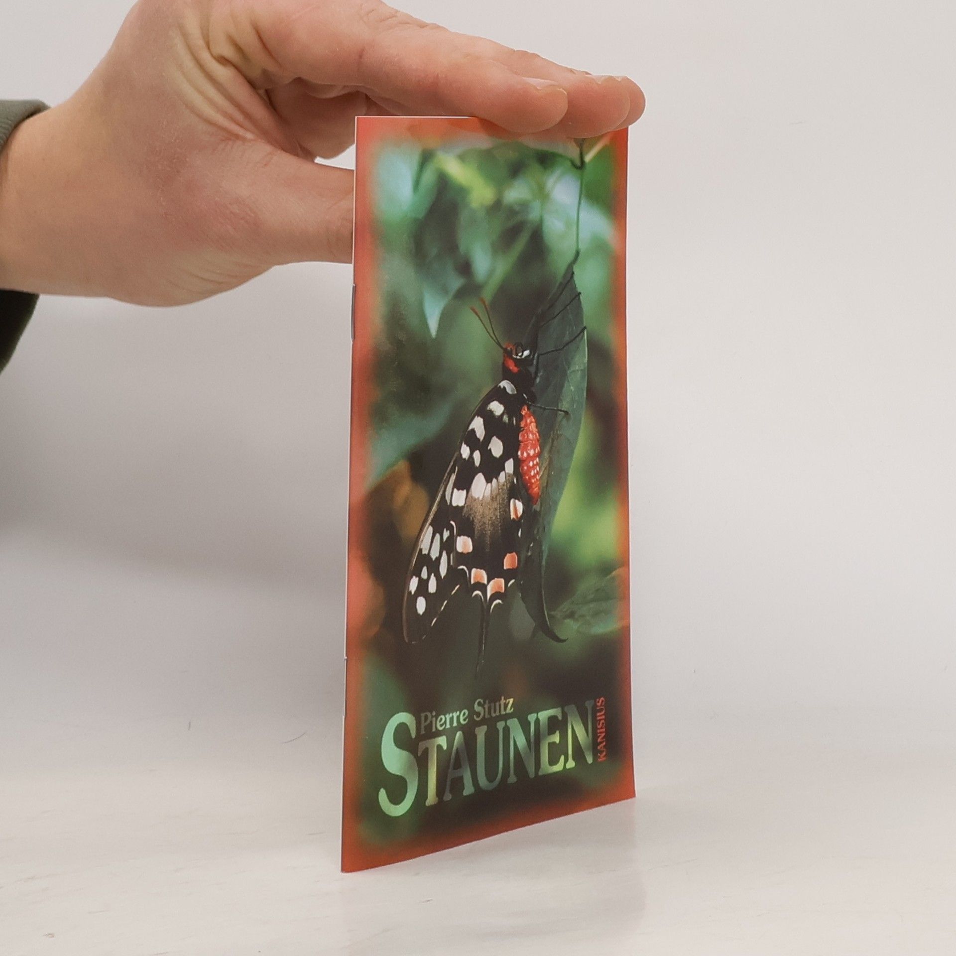 Pierre Stutz Staunen